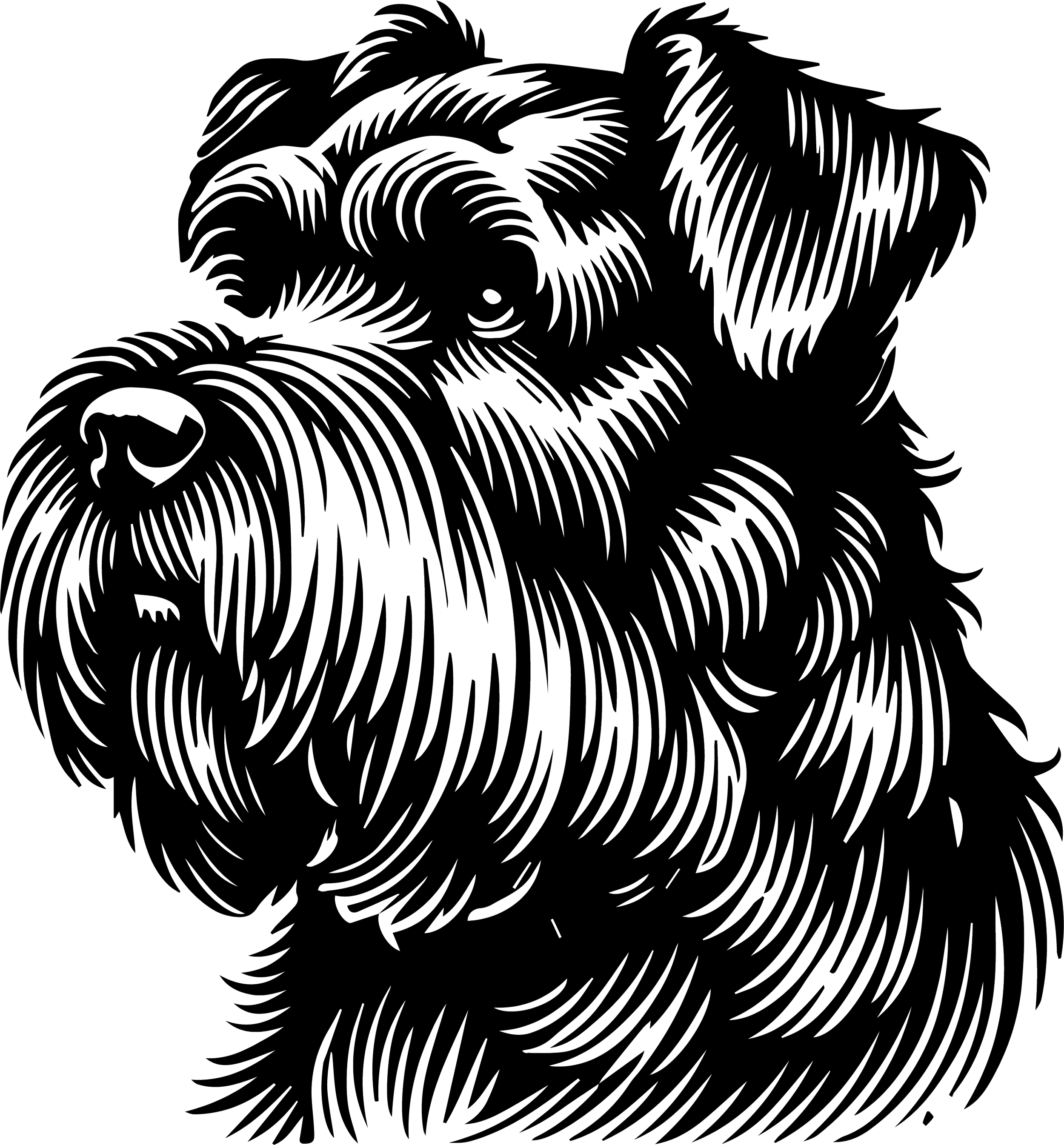 Bouvier des Flandres