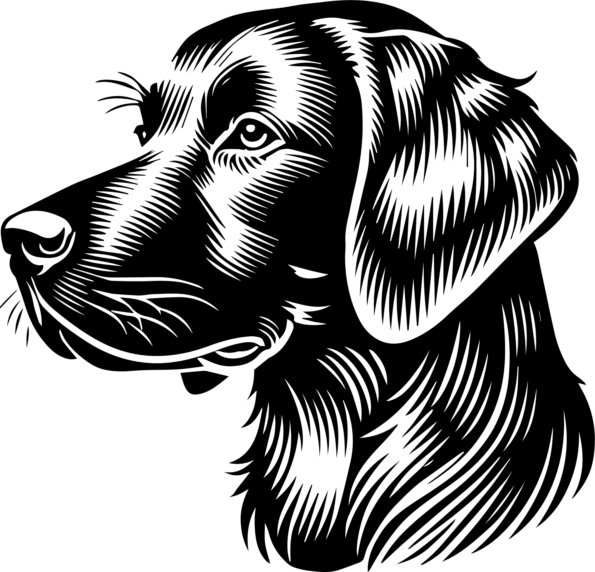 Chesapeake Retriever 3