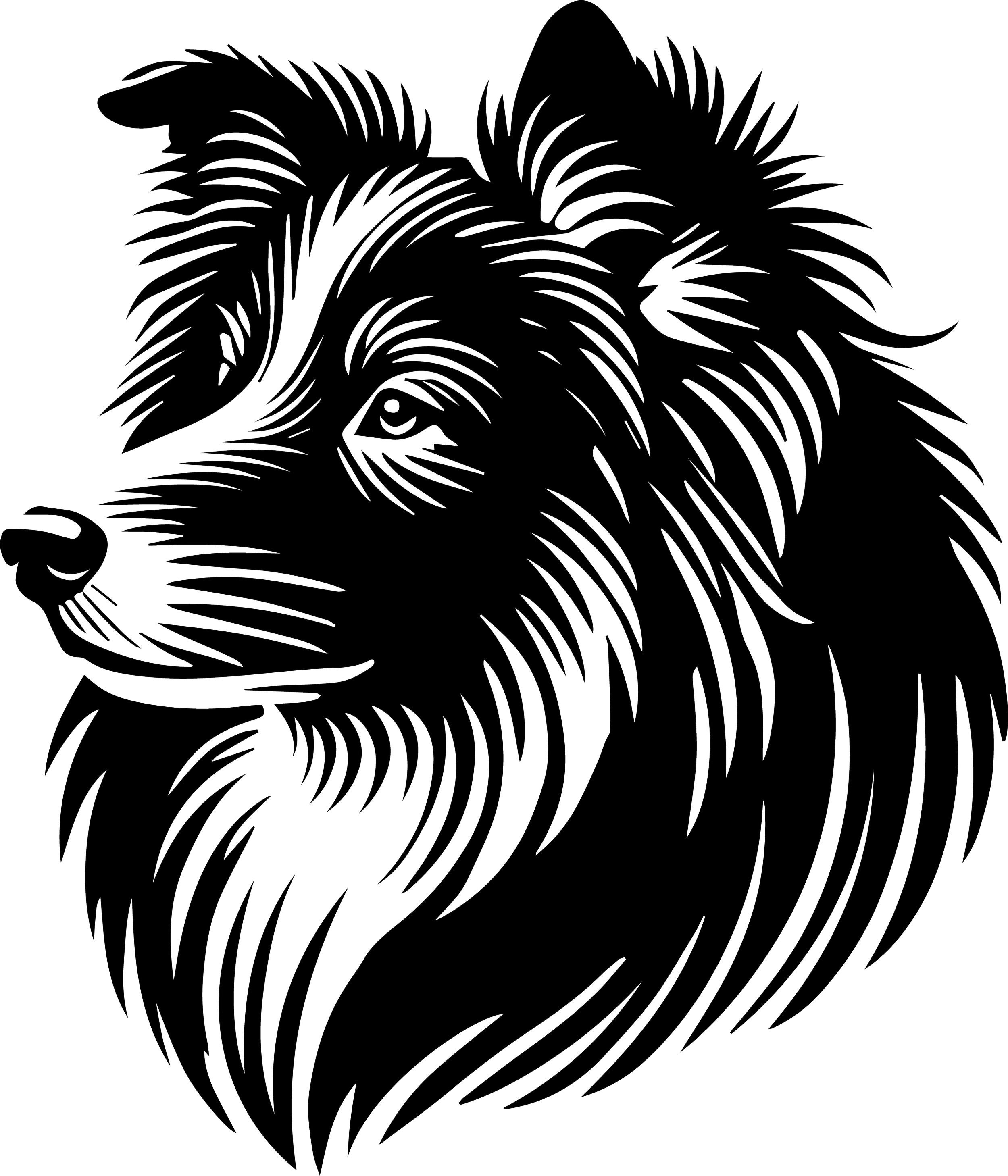 Salish Wool Dog 1