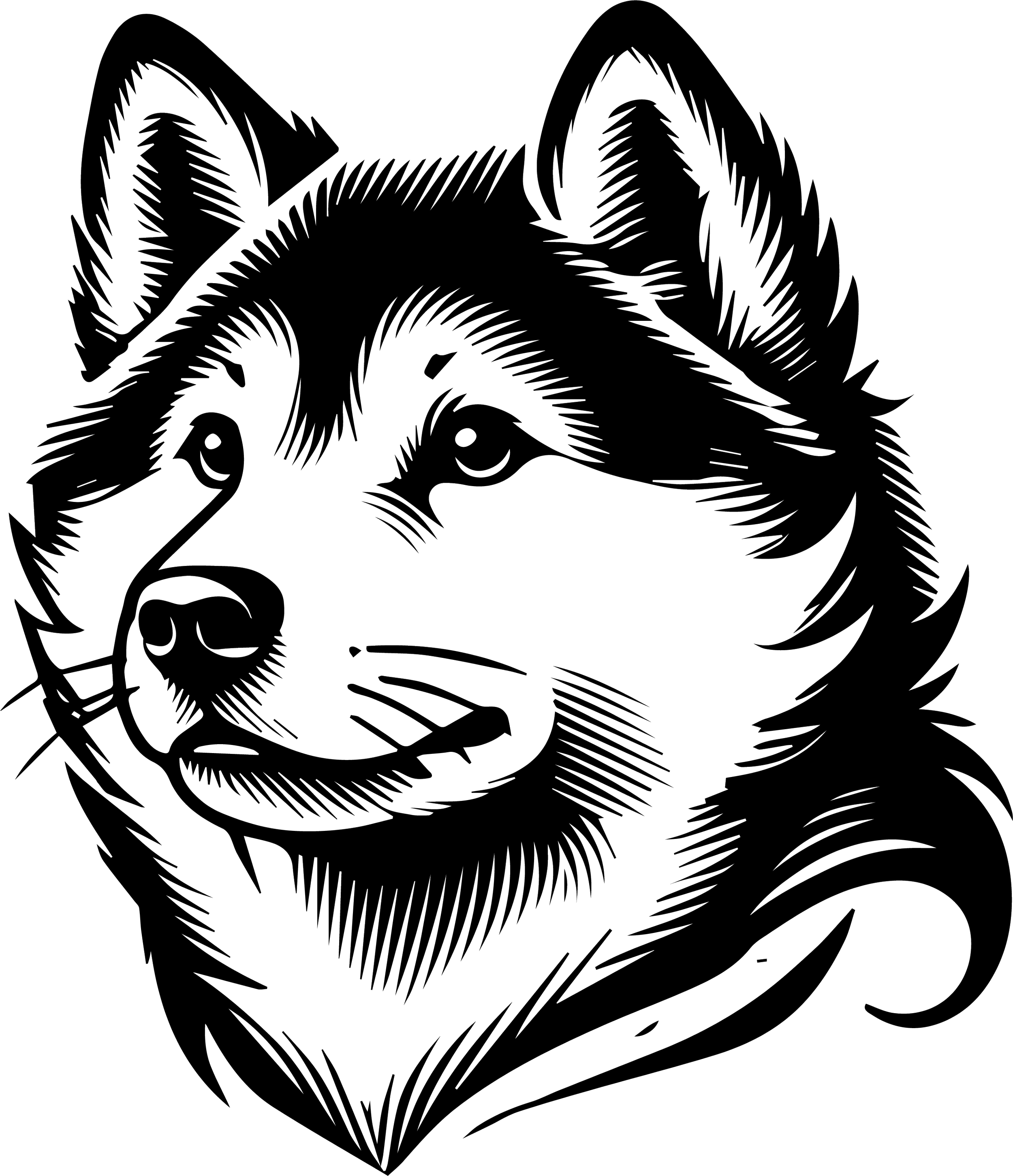 Kishu Inu