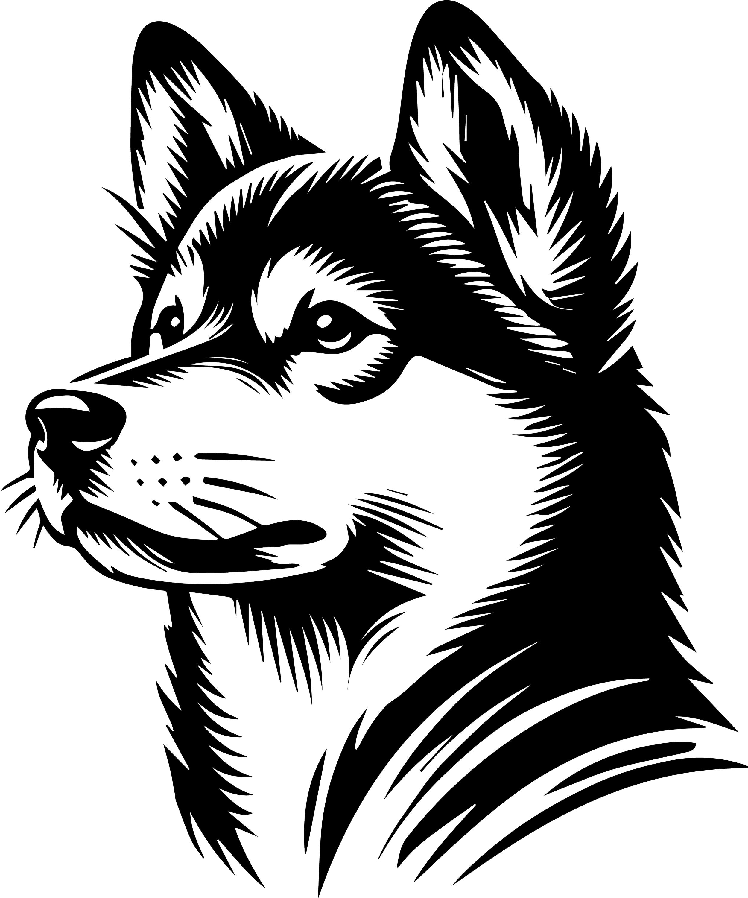 Jindo