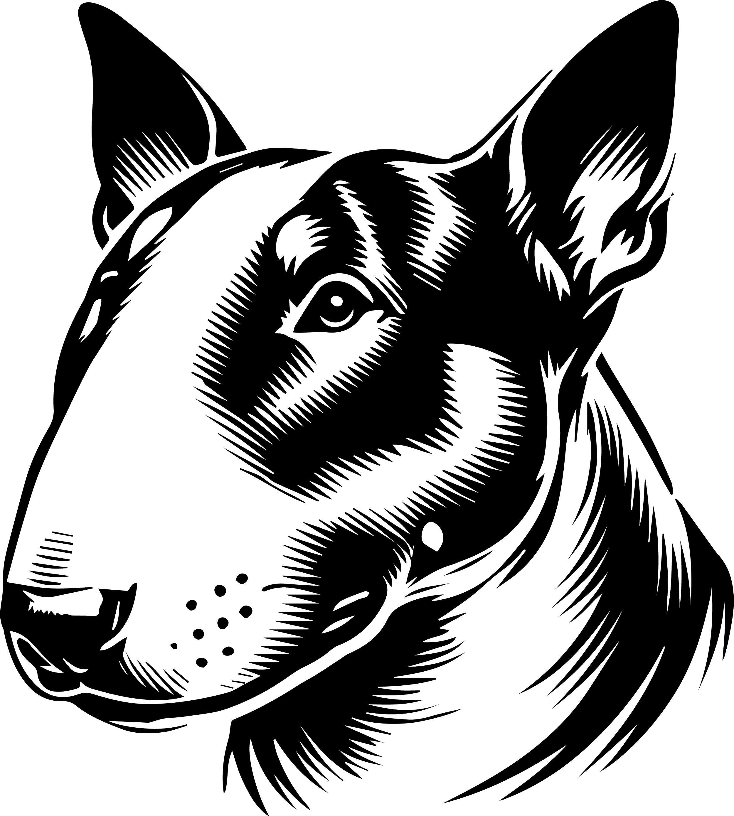 Bull Terrier