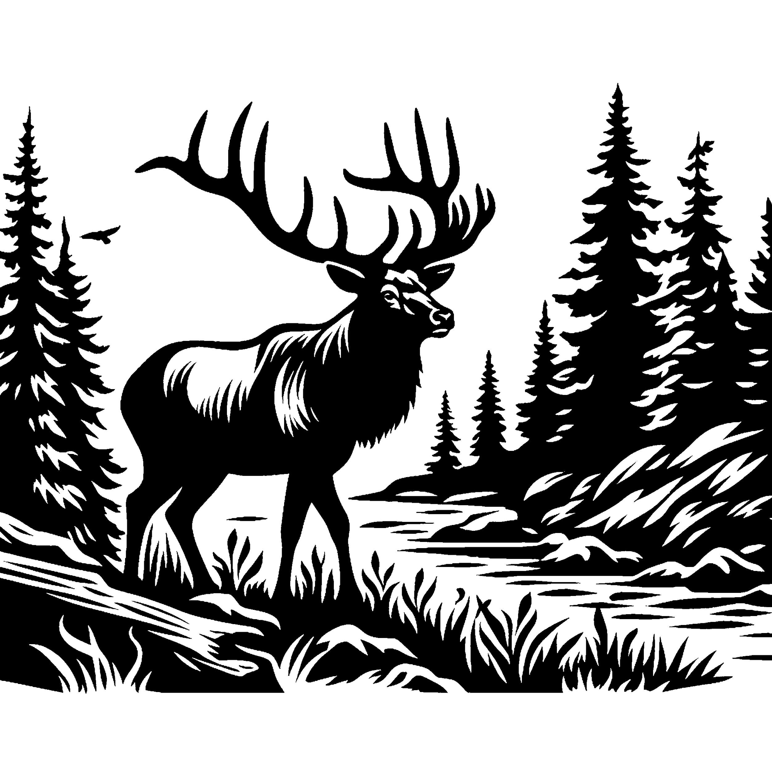 Elk
