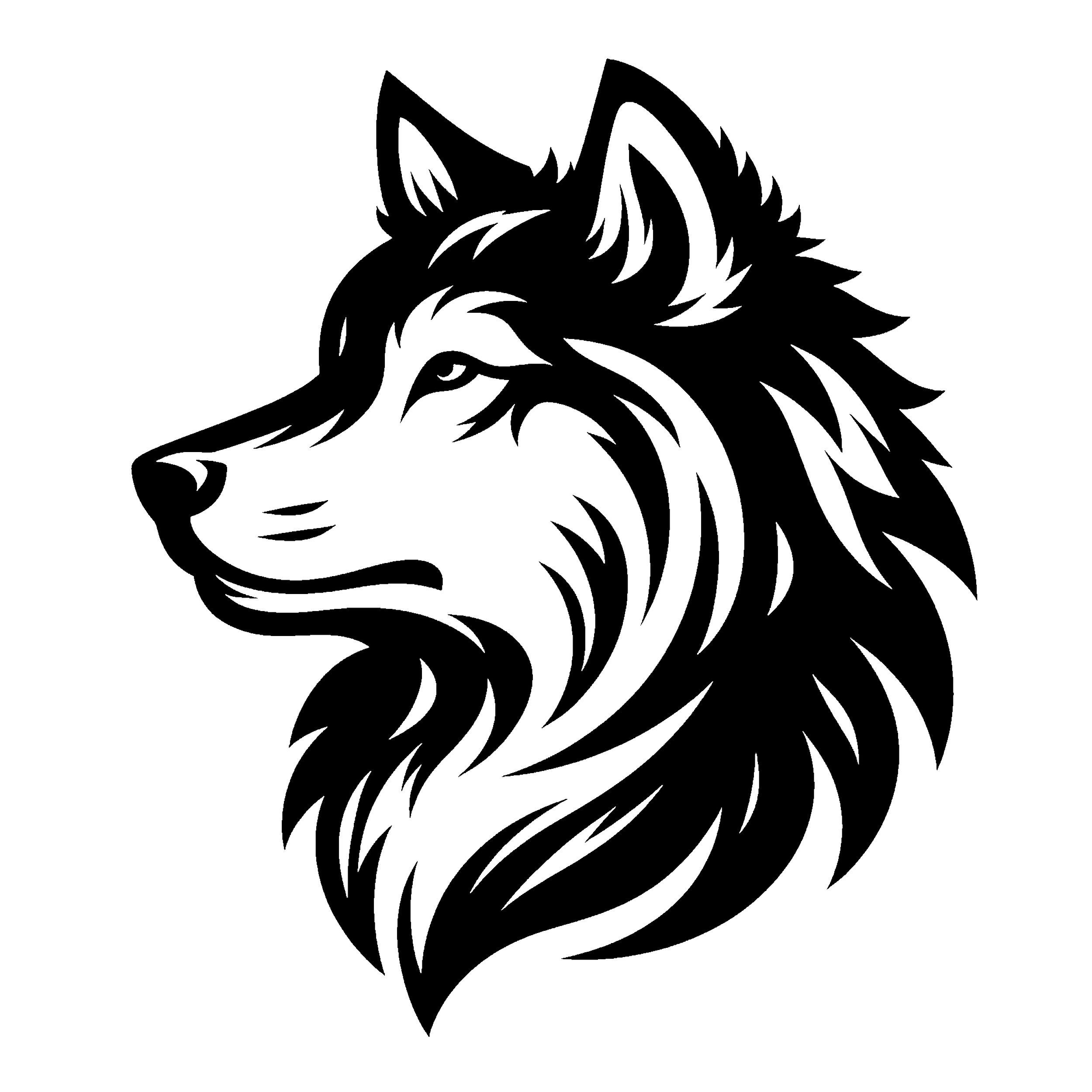 Wolf 26