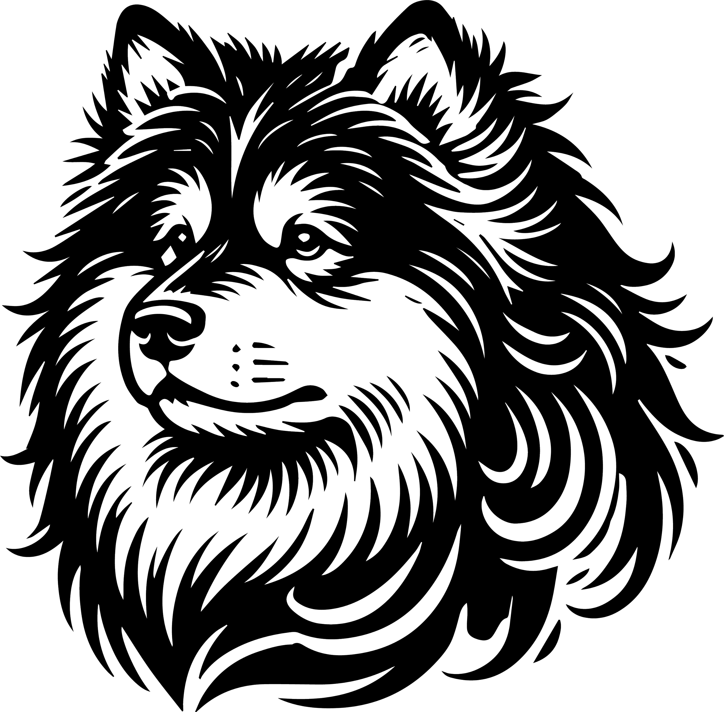 Finnish Lapphund