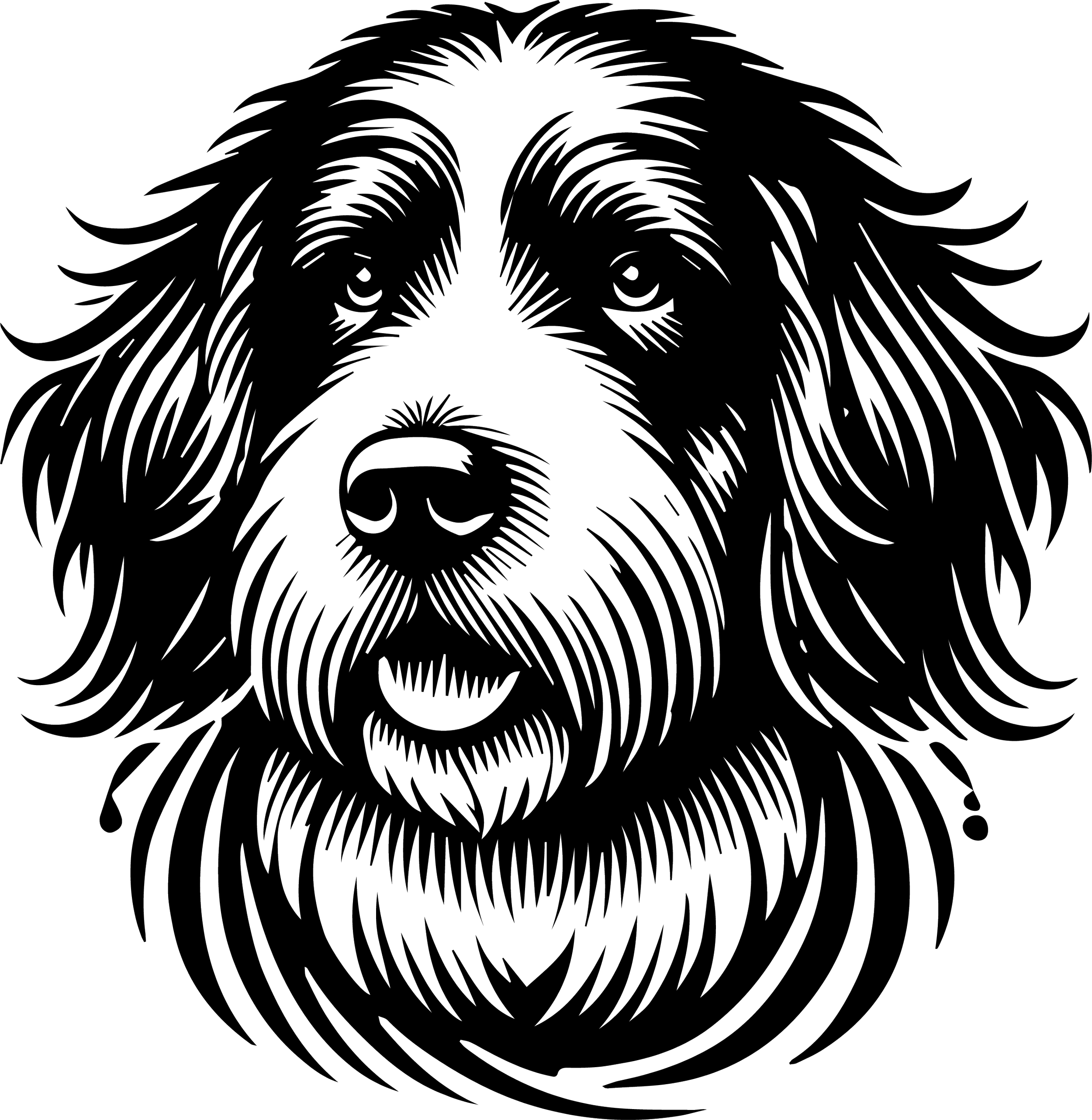 Bernedoodle