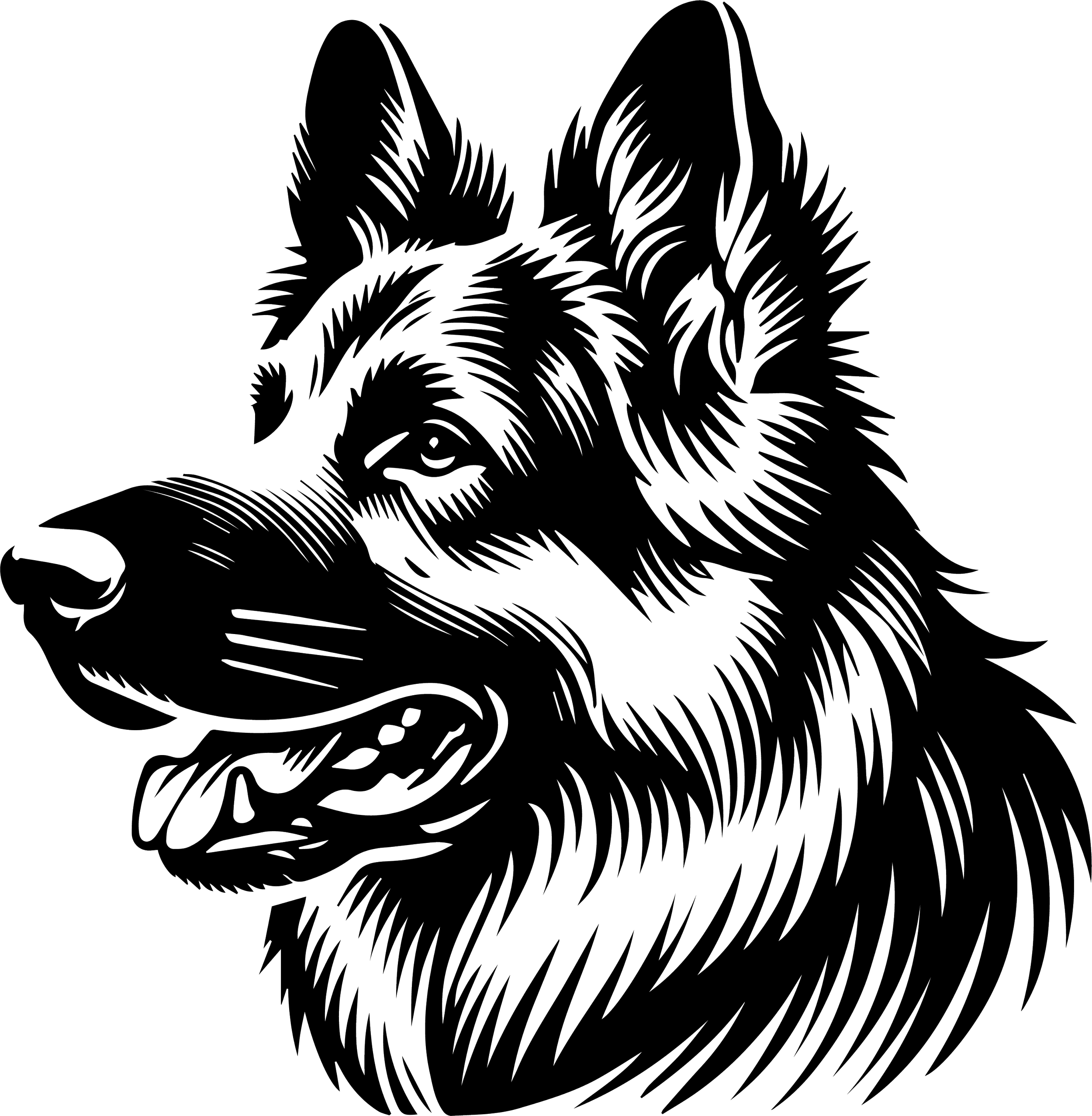 German Shepherd 2