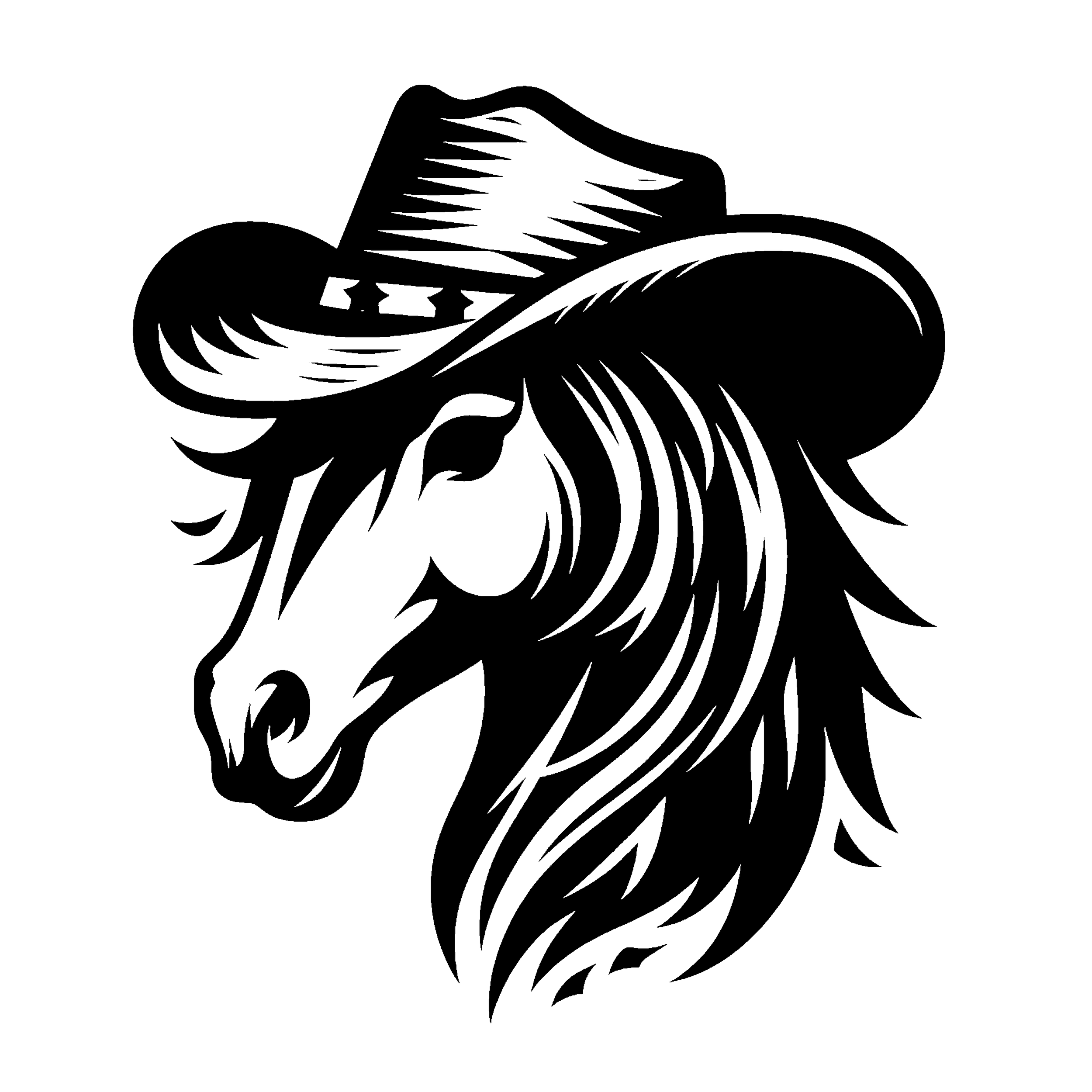 cowgirl elements (5)