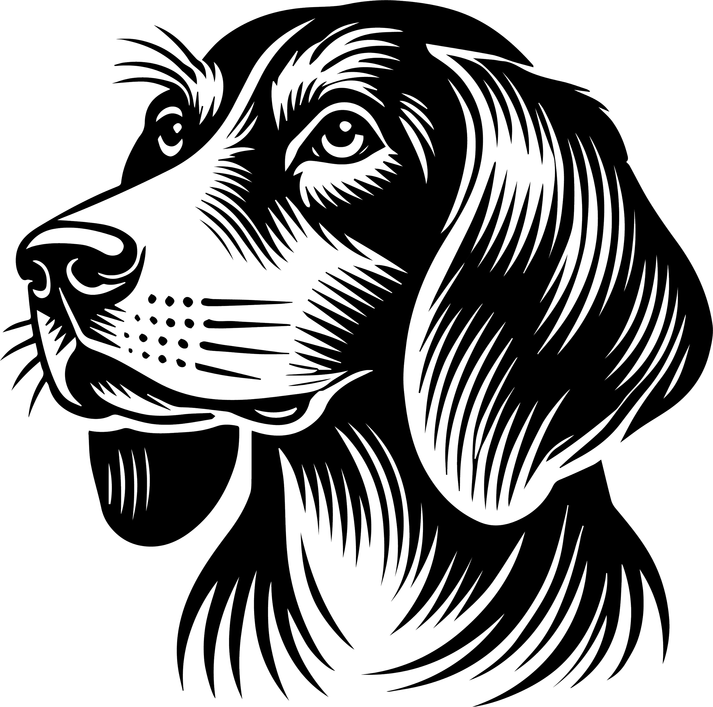 Halden Hound 2