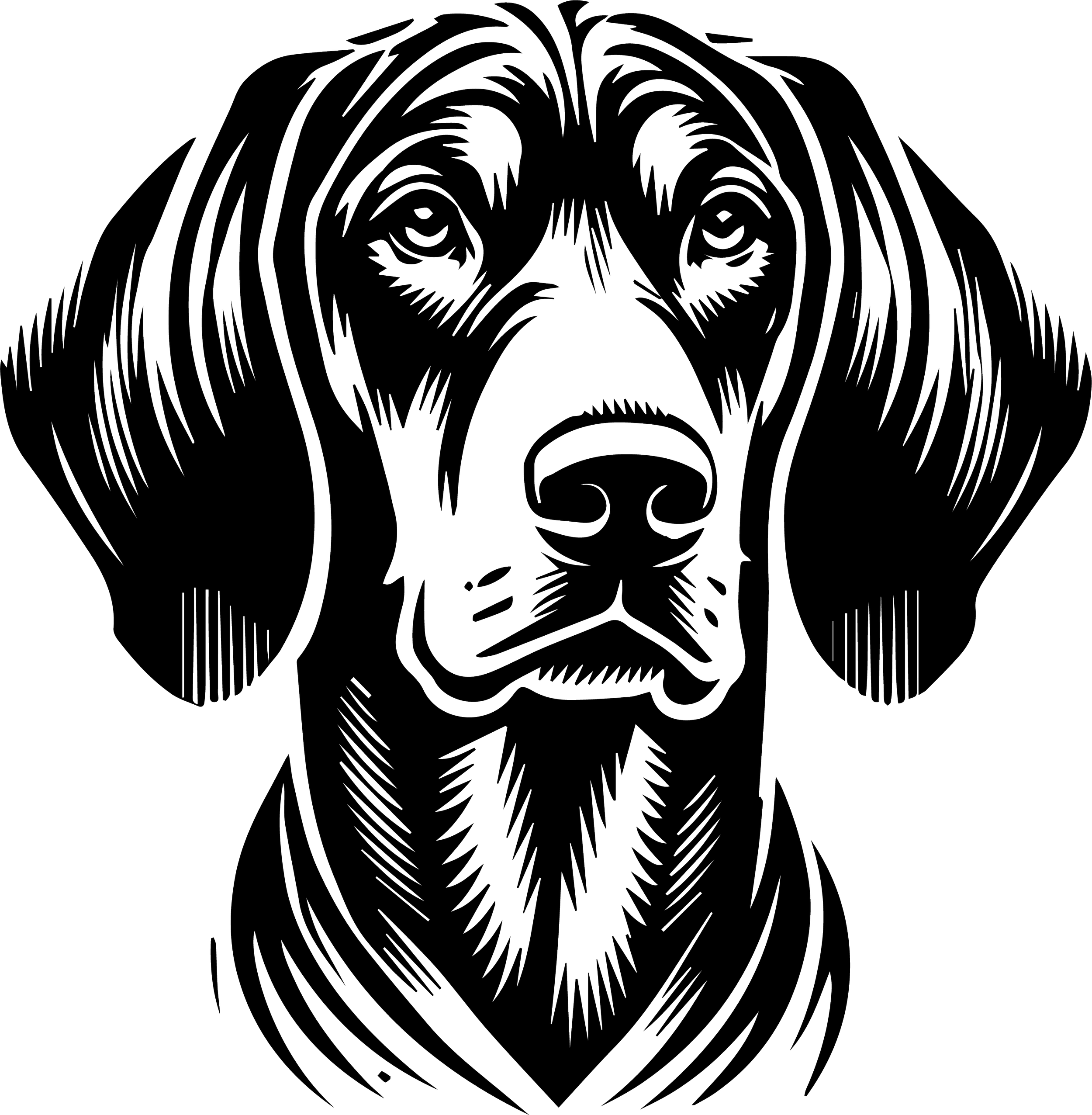 Bavarian Hound