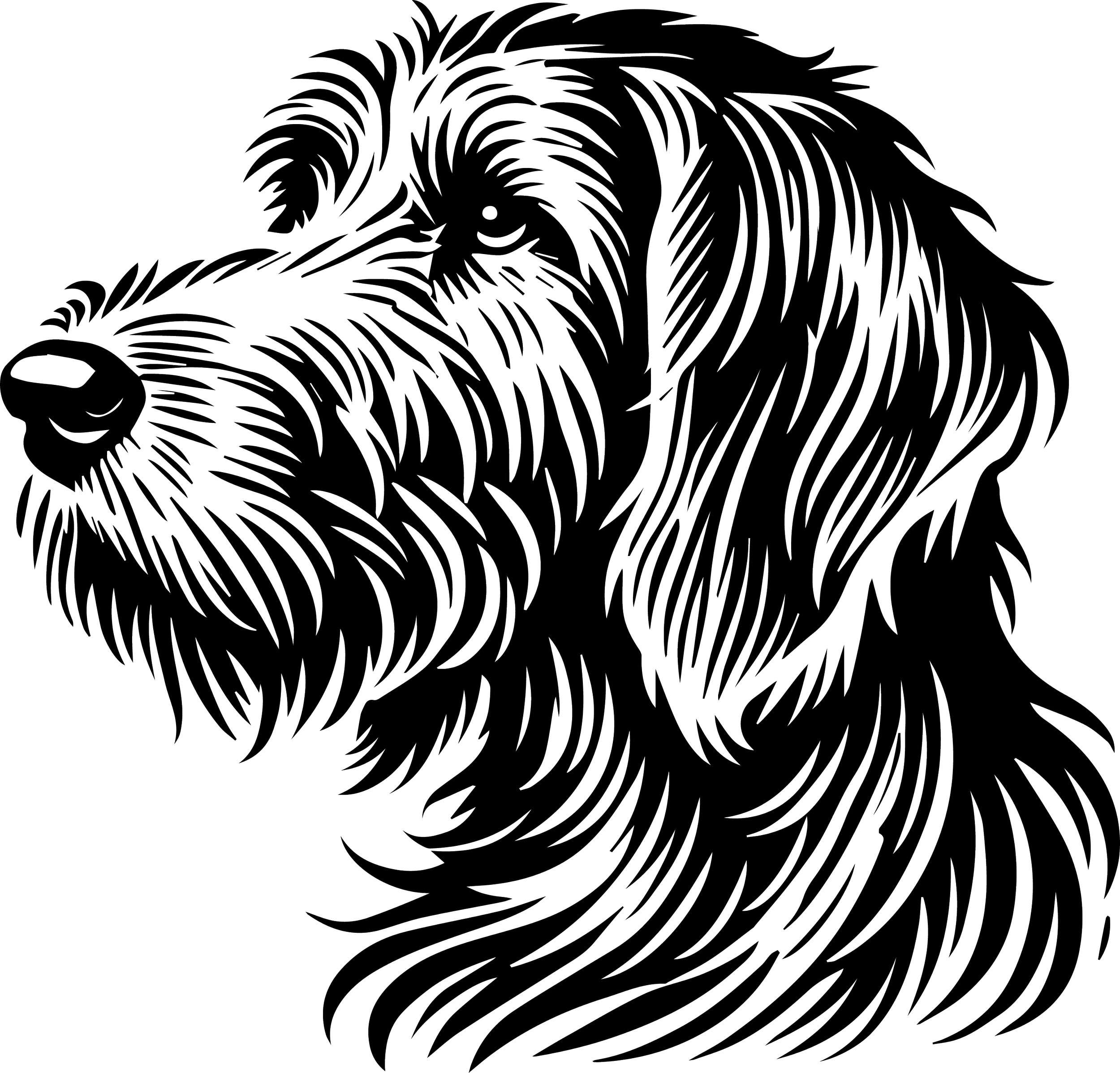Otterhound 1