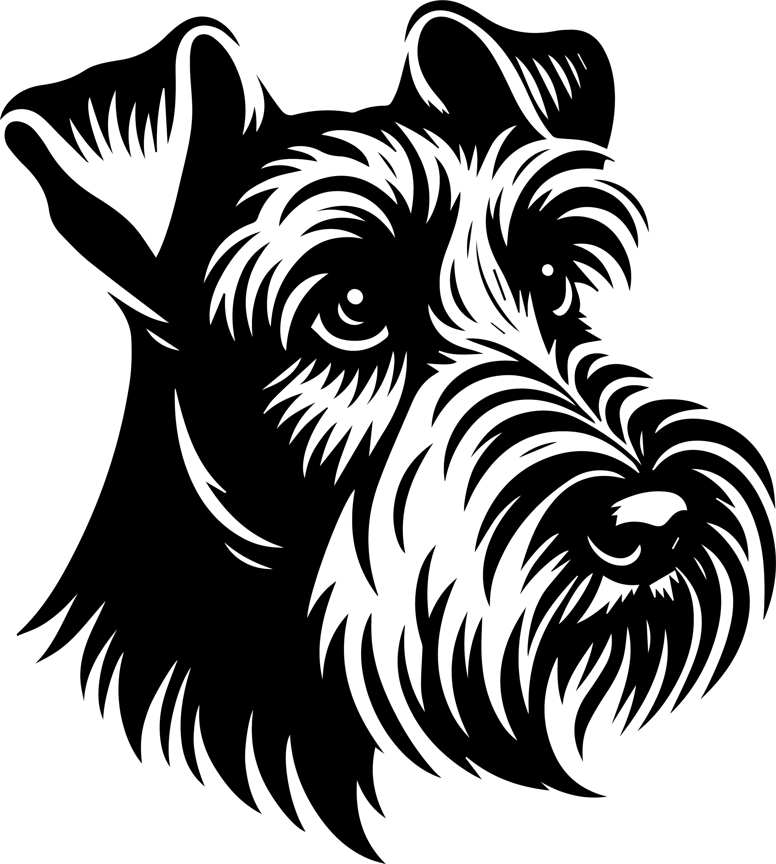 Irish Terrier 2