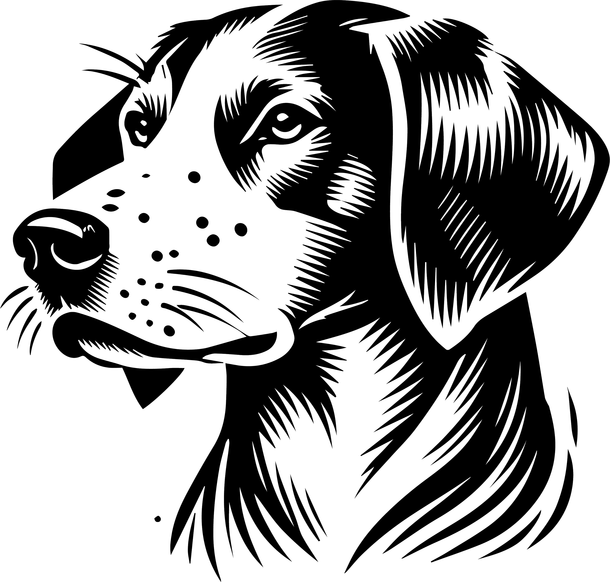 American Foxhound 1