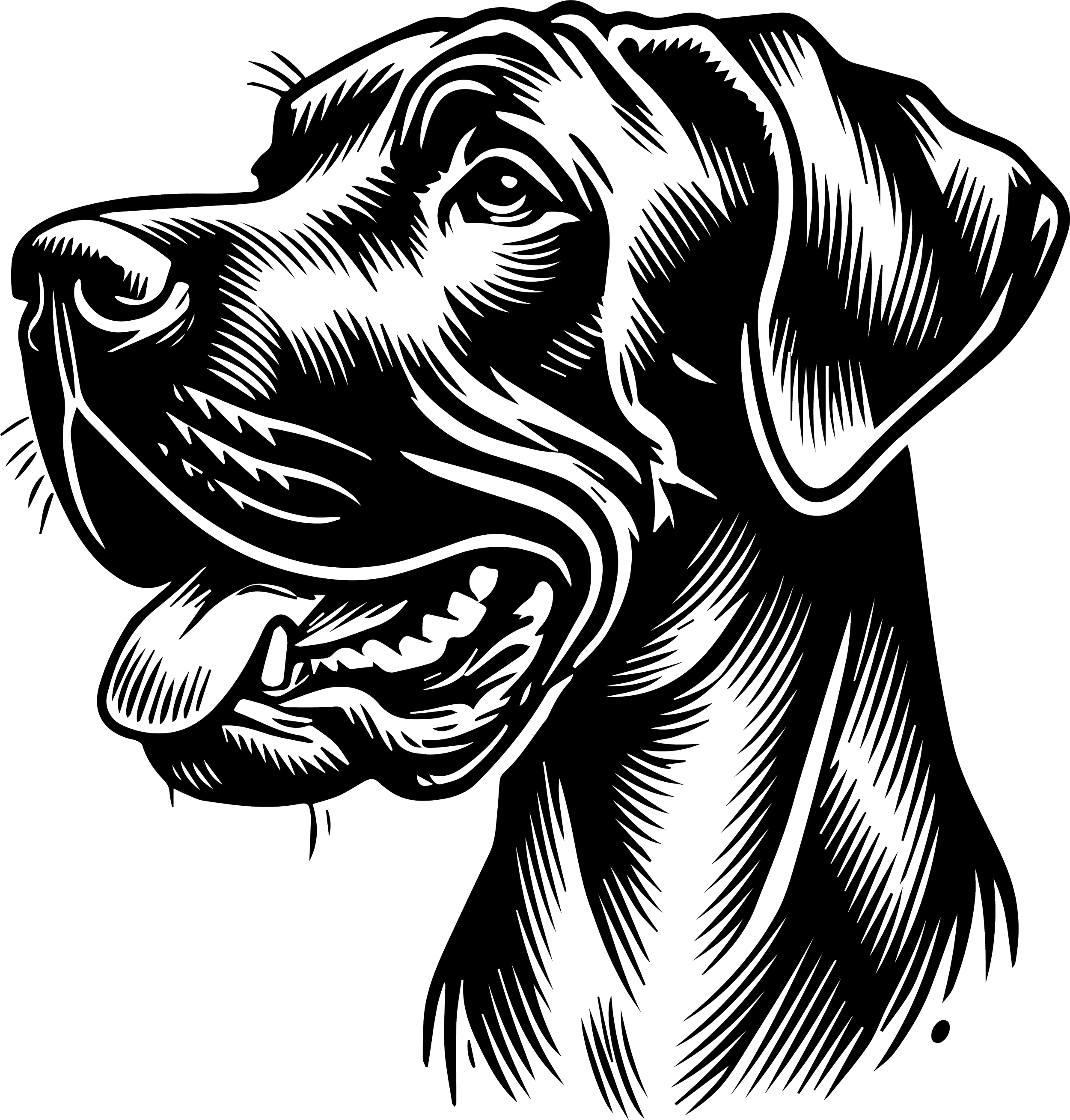 Great Dane 1