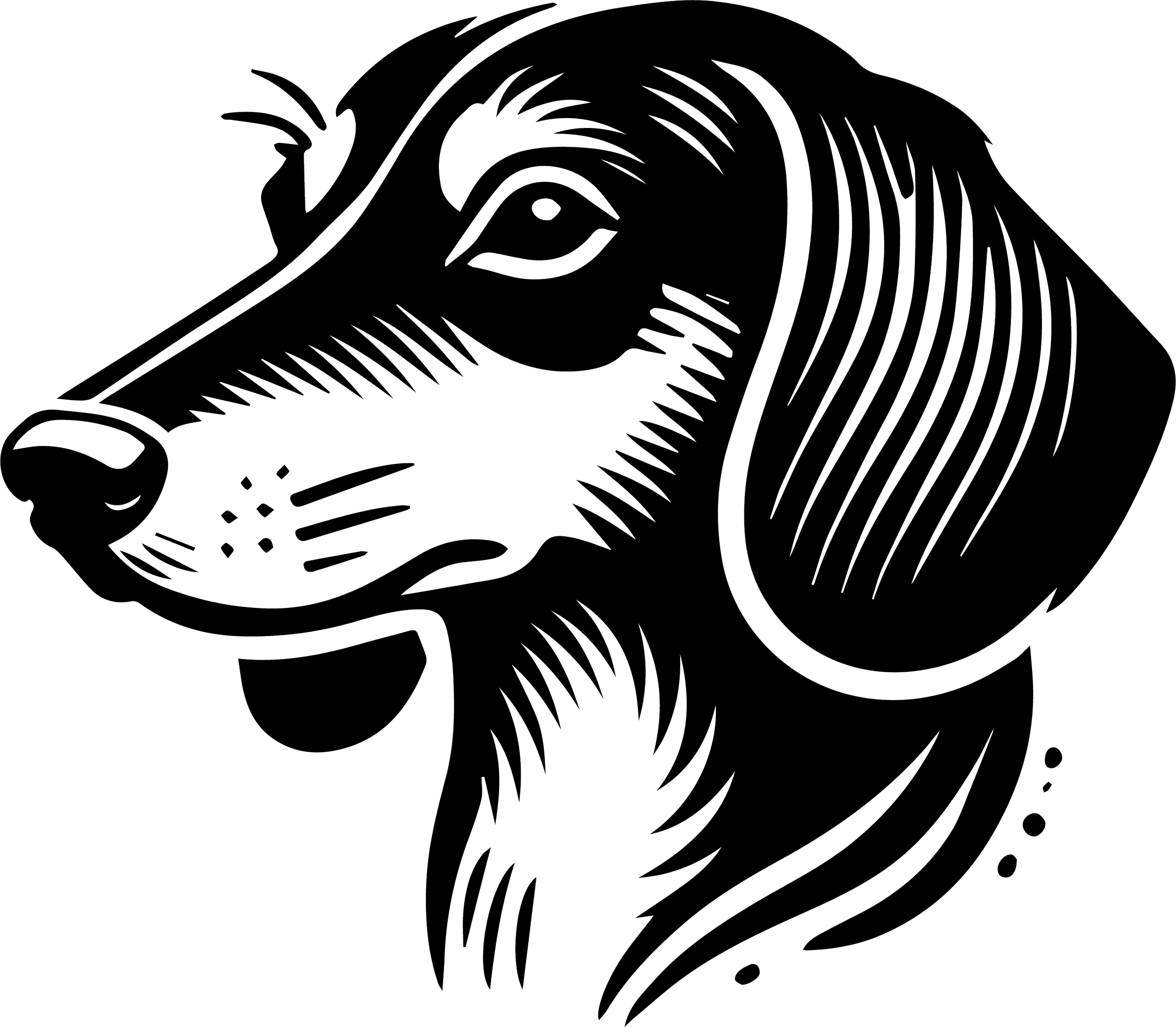 Dachshund 1