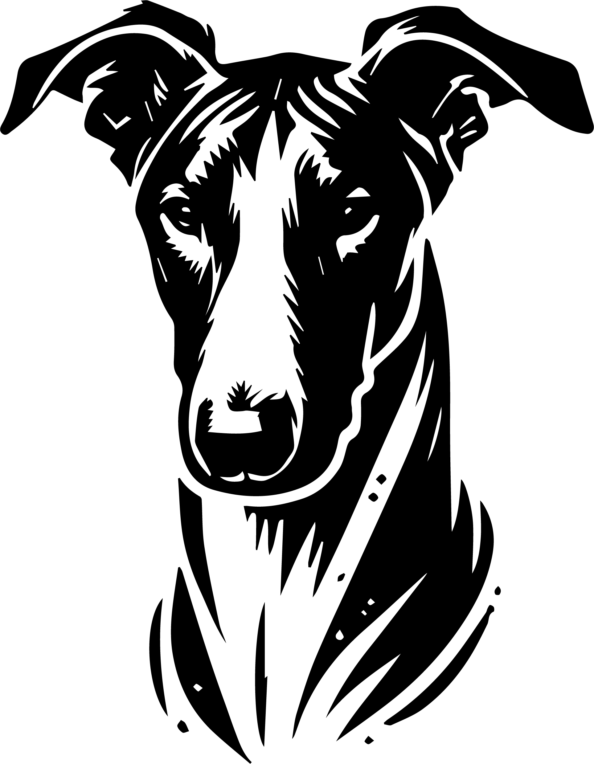 Azawakh