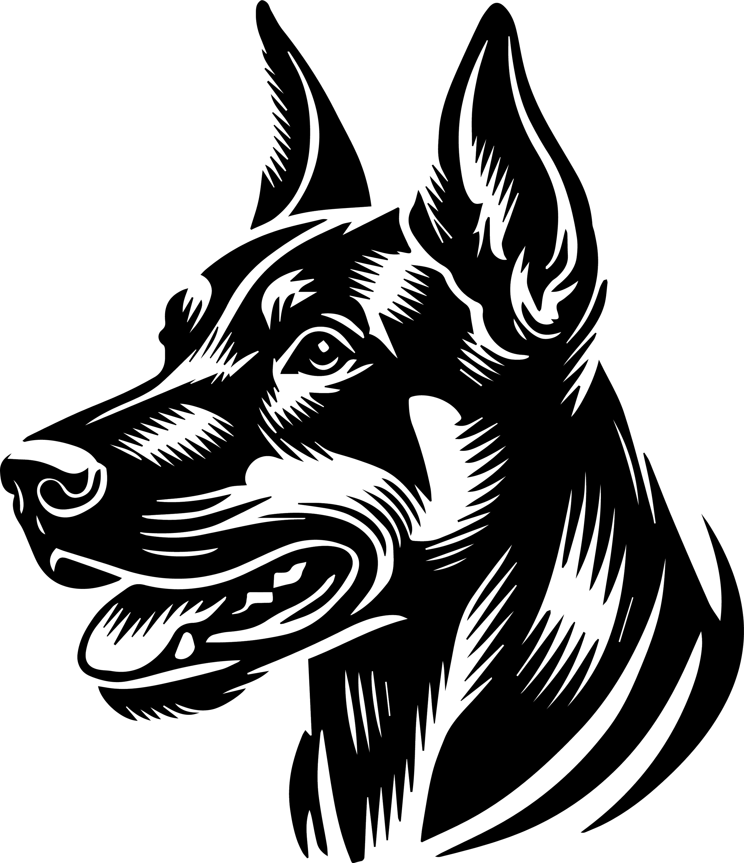 German Pinscher