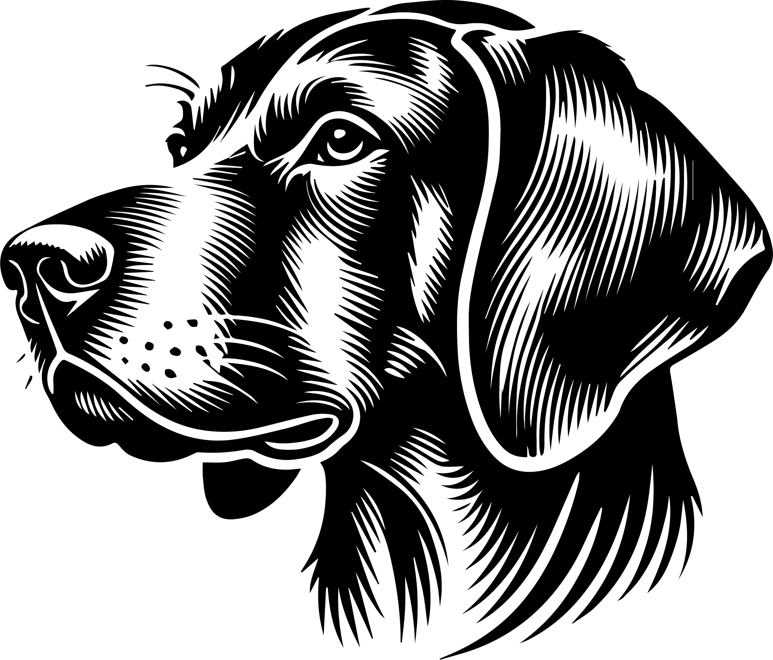Plott Hound 2