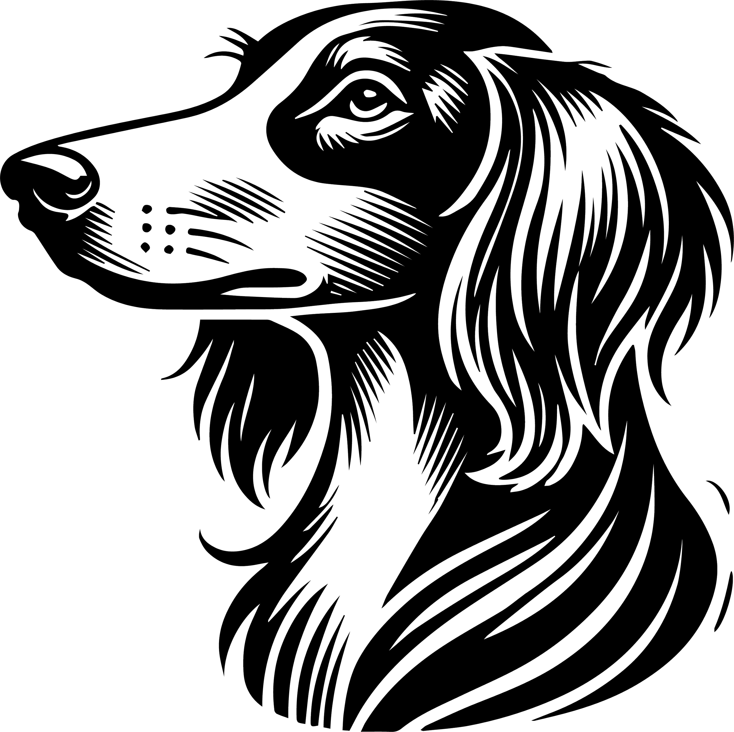 Saluki