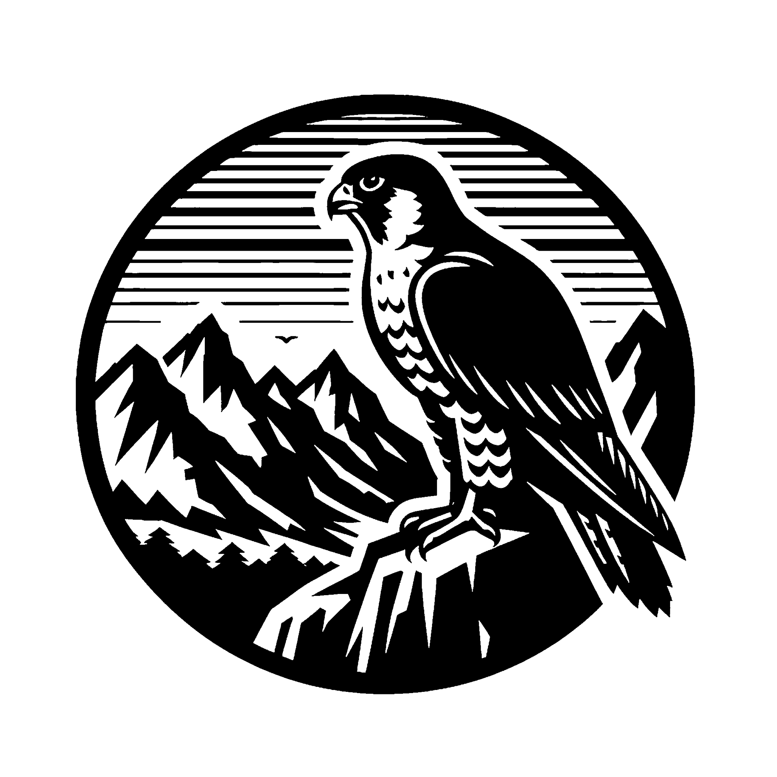 Peregrine falcon