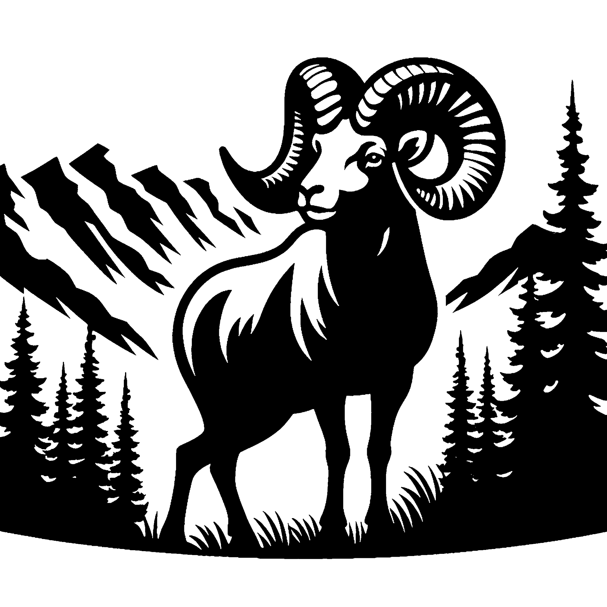 Sheep 02