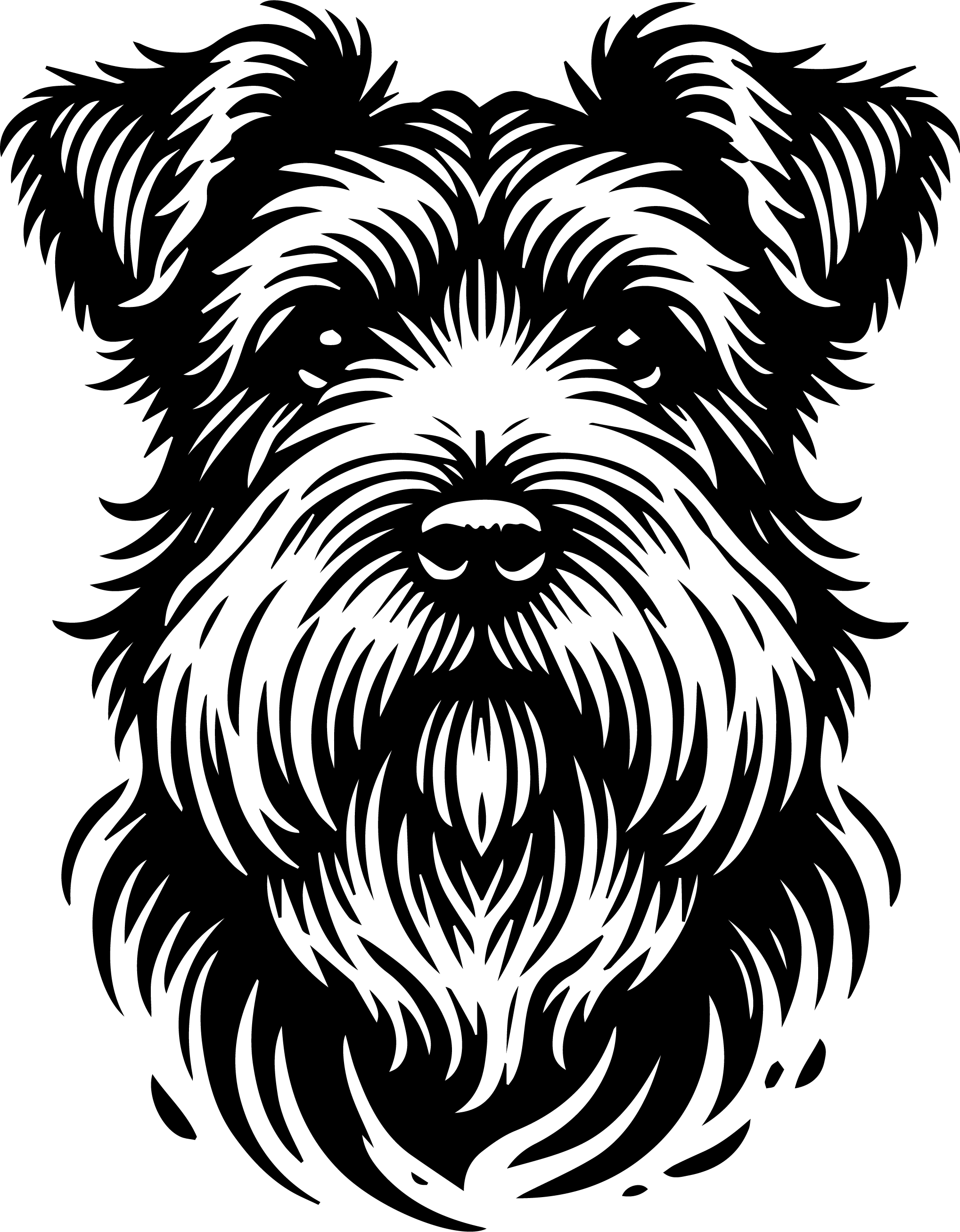 Glen of Imaal Terrier 1