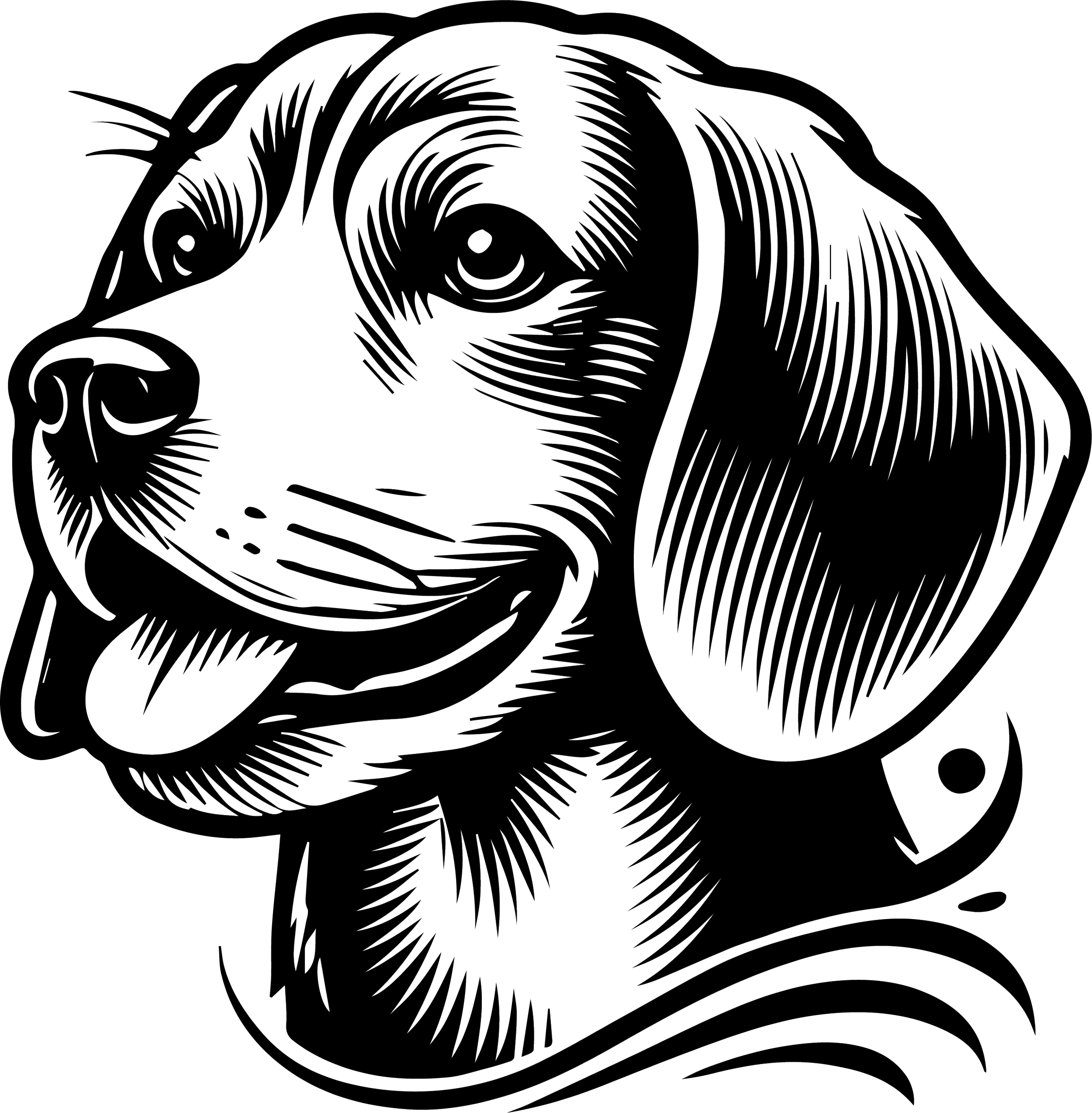 Beagle 1