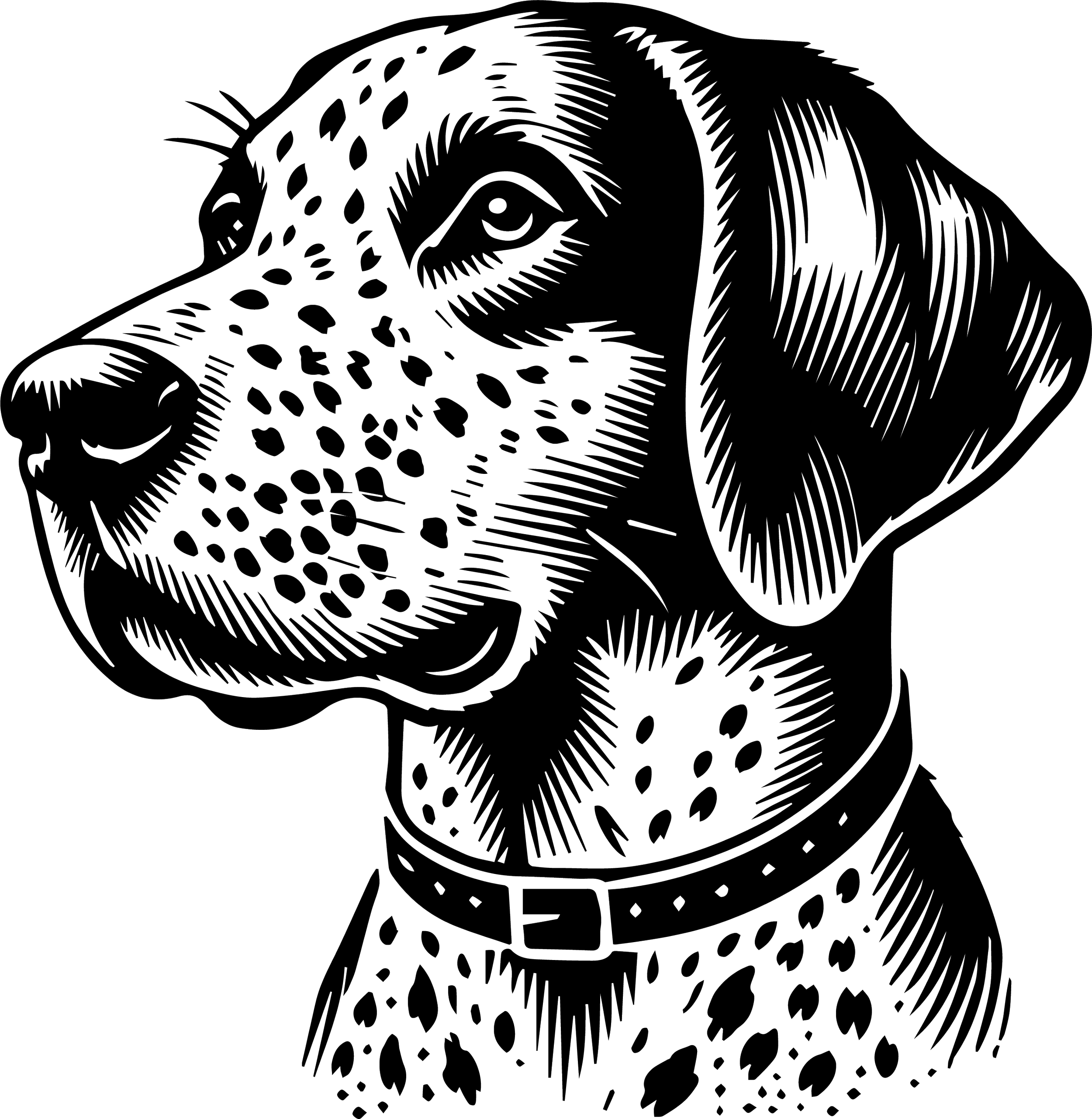 American Leopard Hound