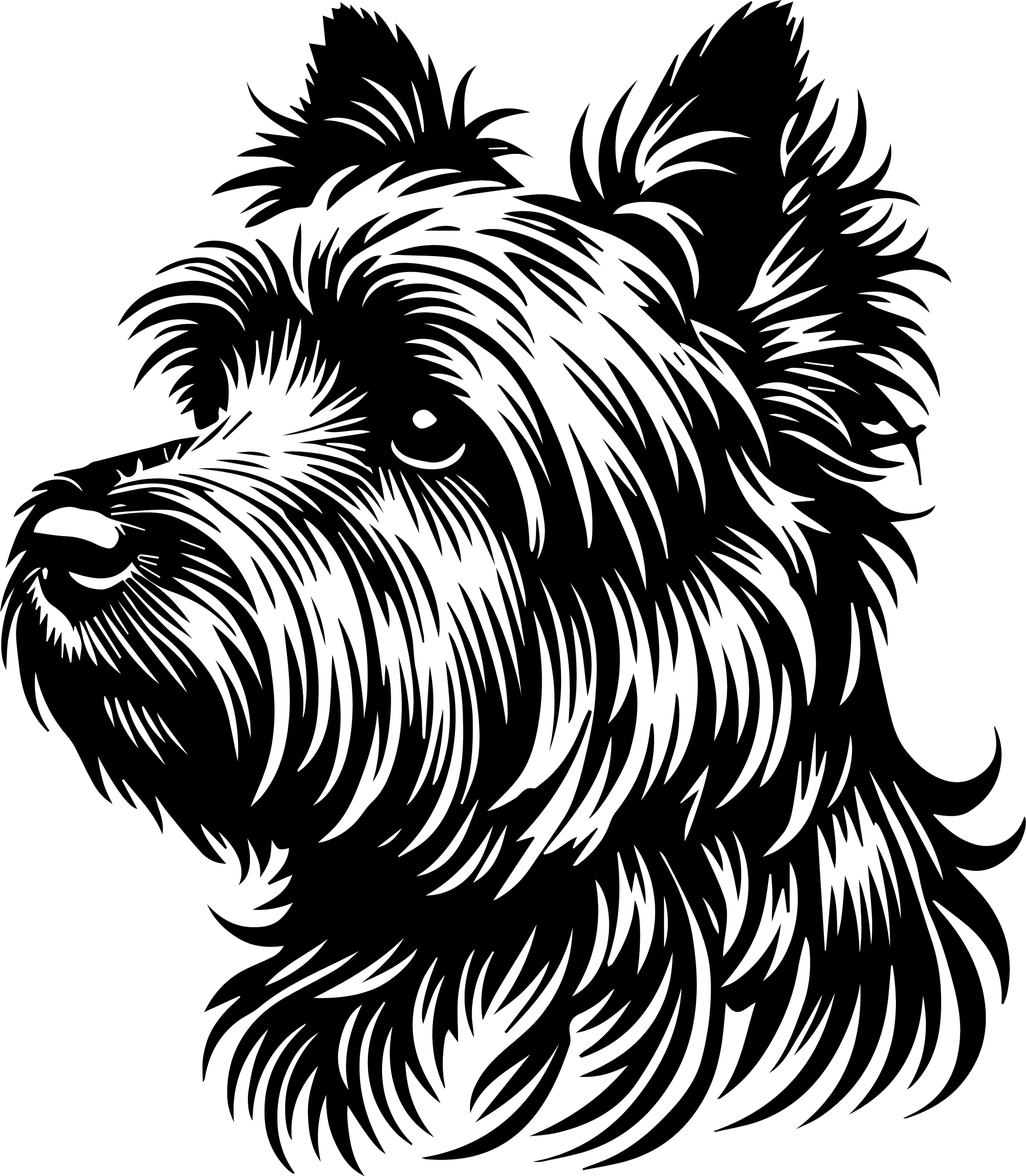 Cairn Terrier
