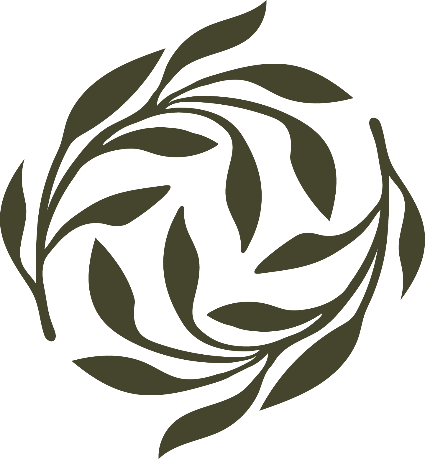 Decorative circle of leaves