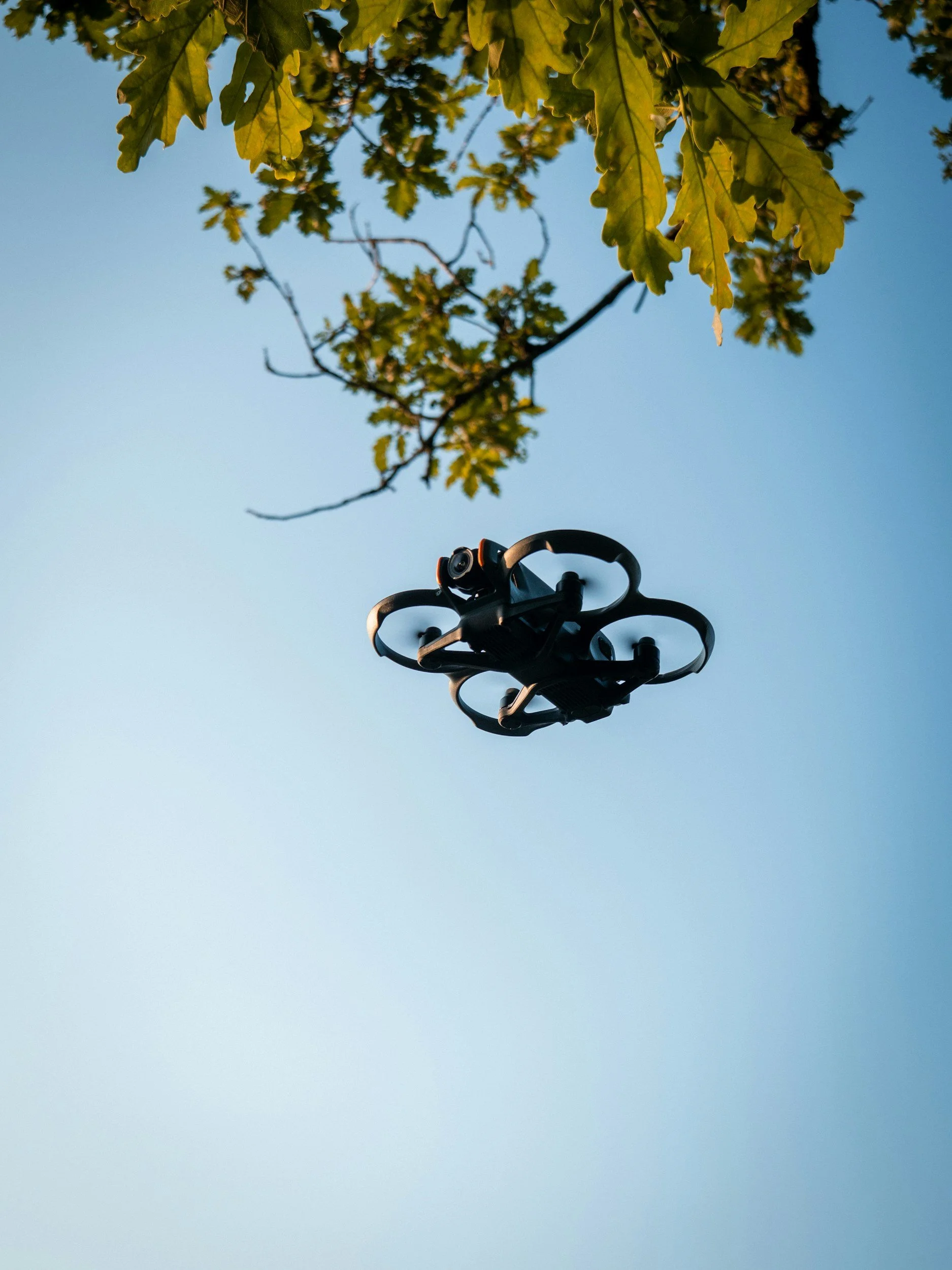 Een drone zwevend onder een boom met groene bladeren, tegen een heldere blauwe lucht.