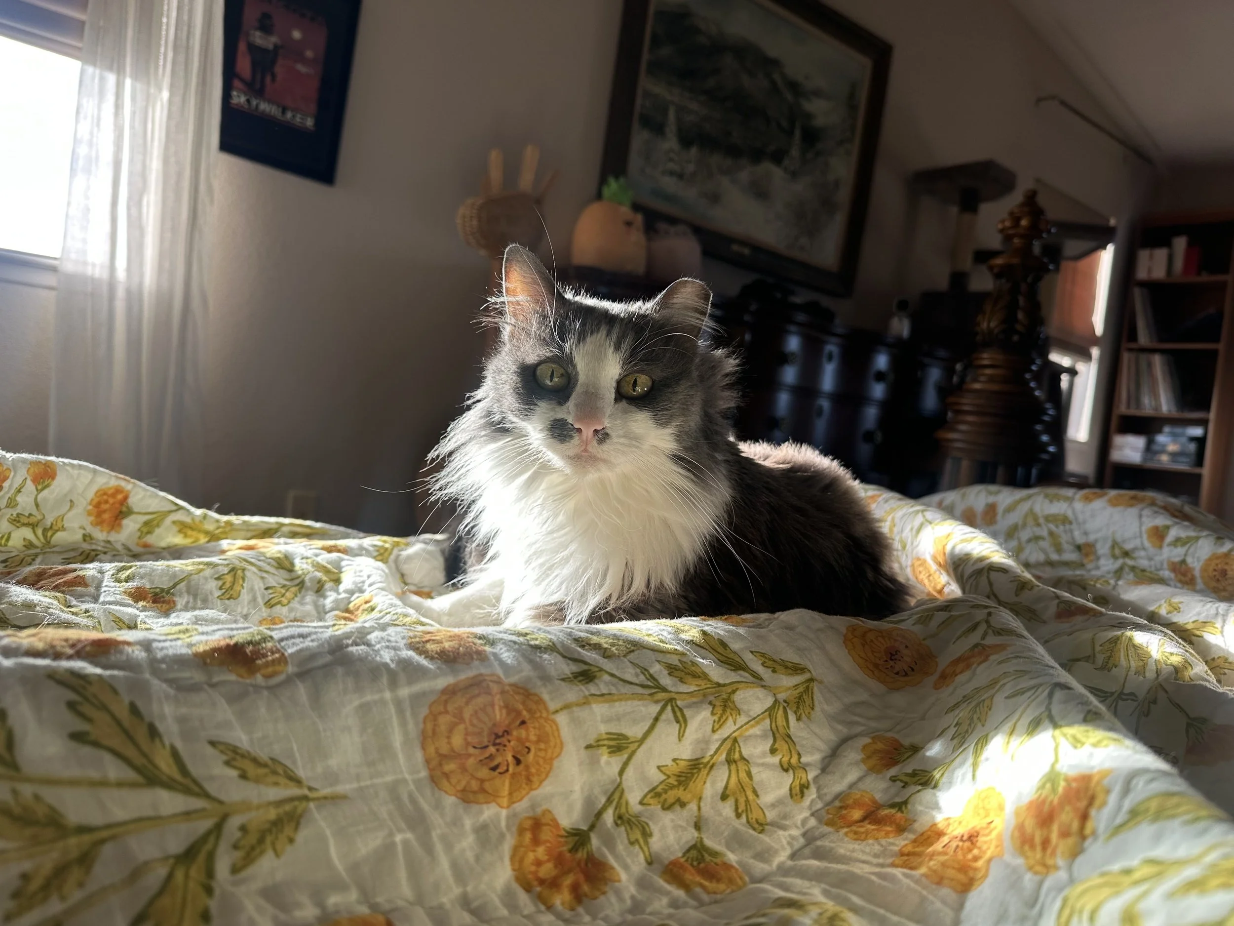IMG_1328.jpg