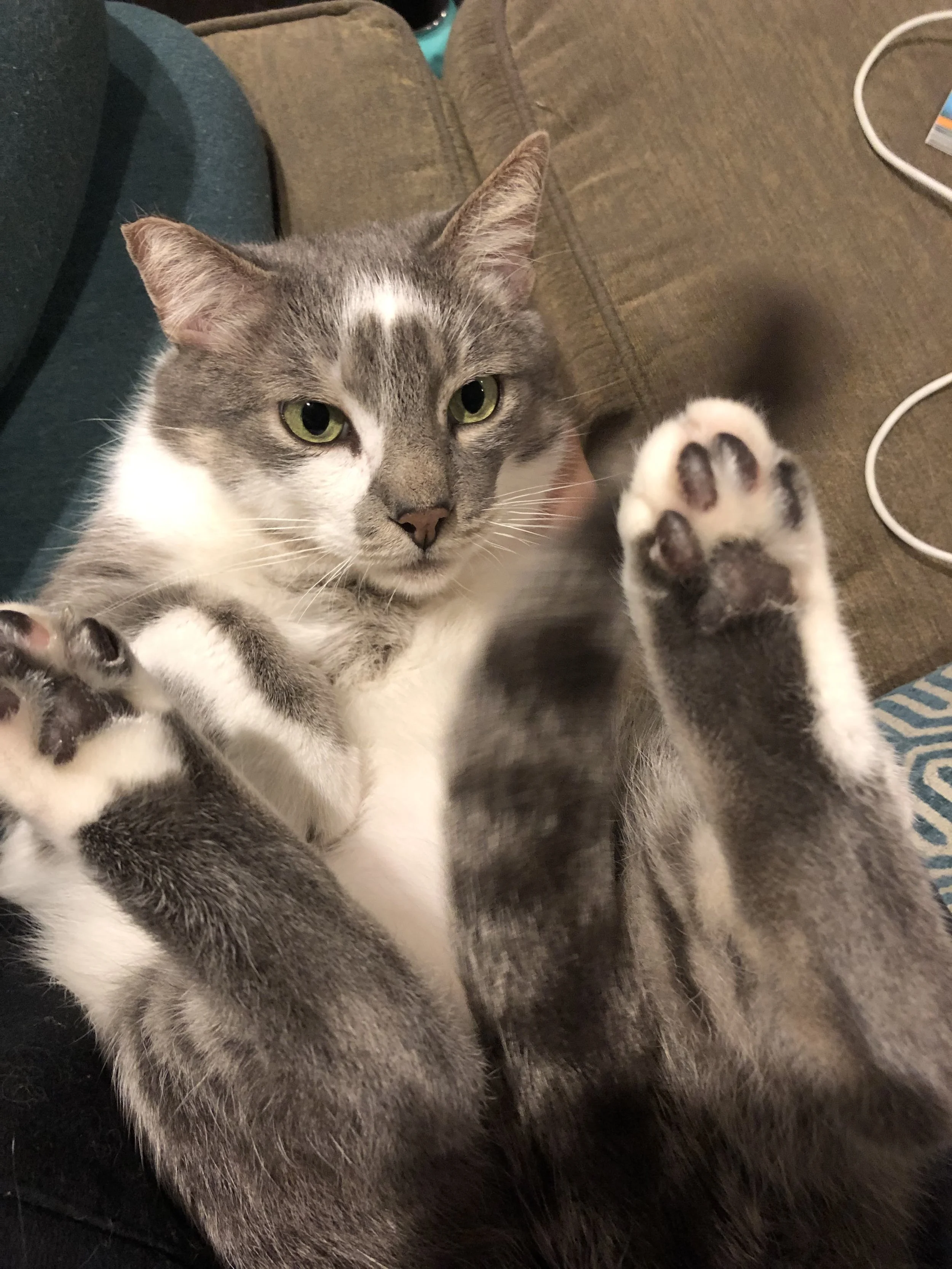 IMG_7713.jpg