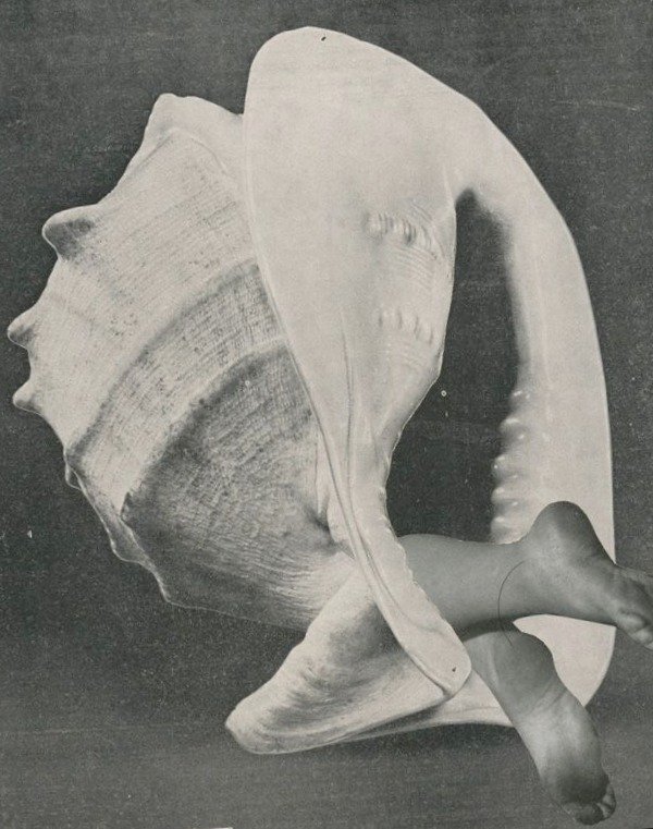 The Sonic Architecture of the Self