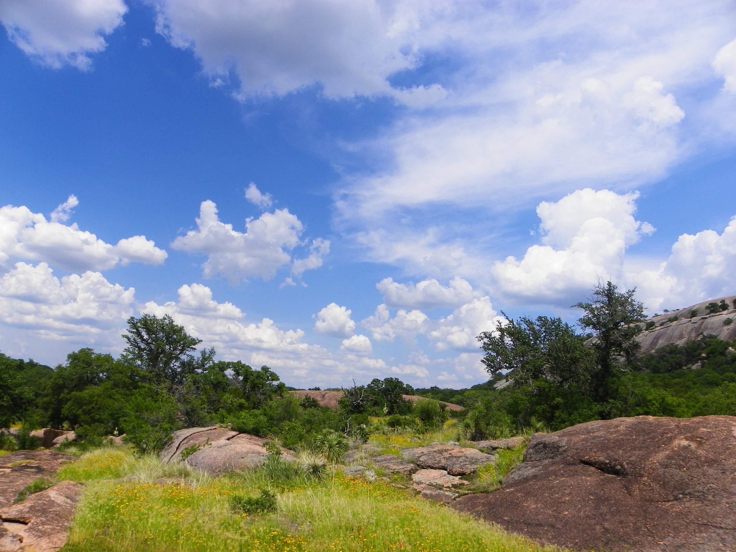 Navigating Healing Modalities in San Antonio: Therapy, Coaching, KAP, and Beyond