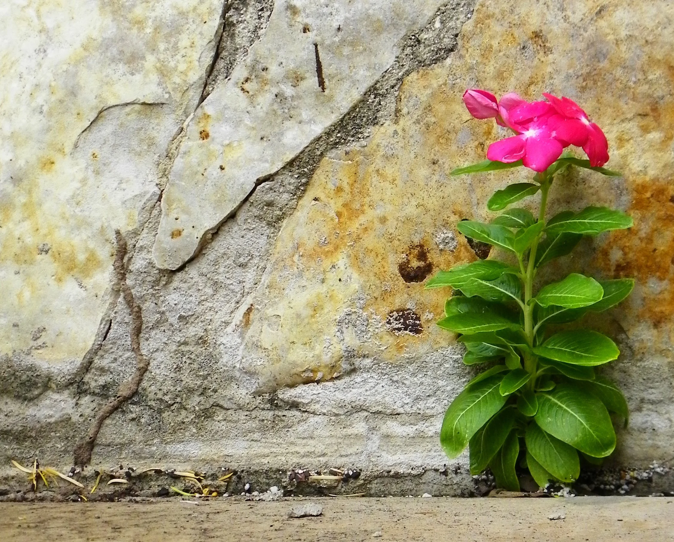 5 Common Myths About Therapy in San Antonio (and What Relational Care Actually Looks Like)