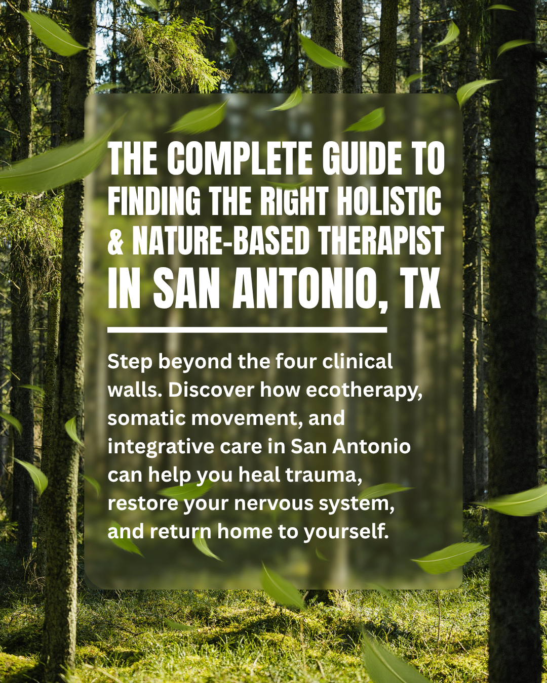 Complete guide to finding a nature-based therapist in San Antonio, TX
