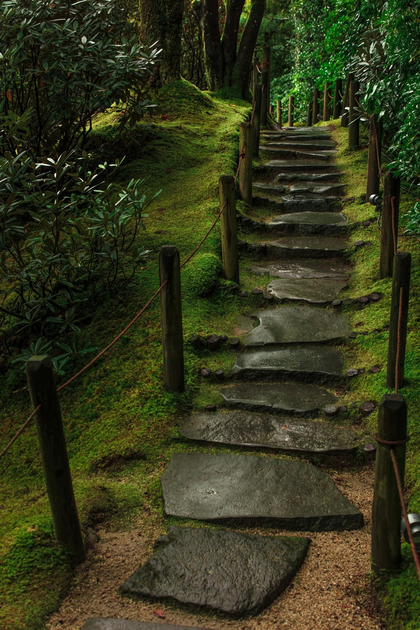 A stone pathway with uneven steps leads uphill through a lush, green forest with moss-covered ground and tall trees.