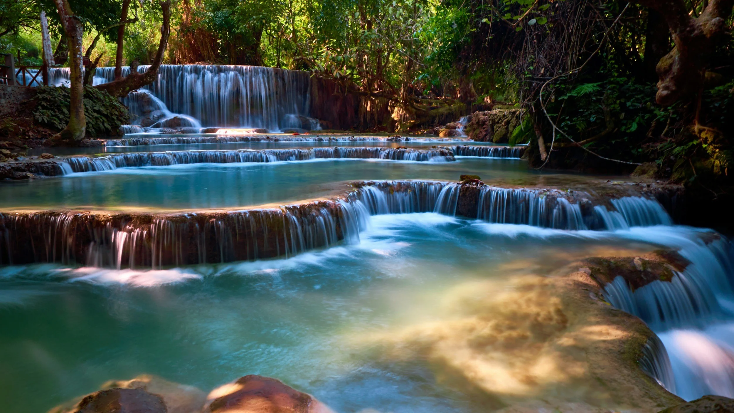Multiple small waterfalls flowing over rocks in a lush, green forest.