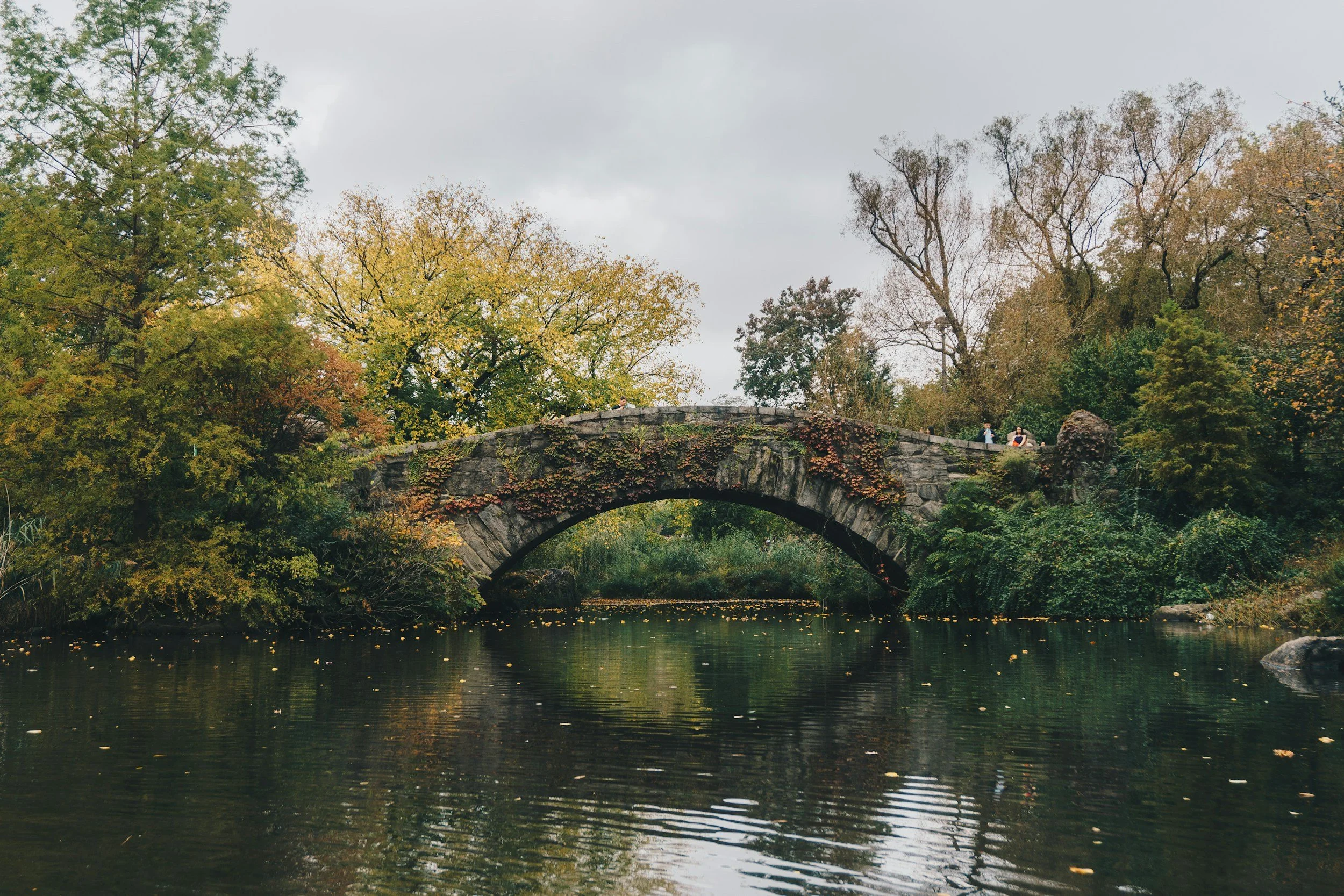 Therapy to help you build healthier, more fulfilling connections.