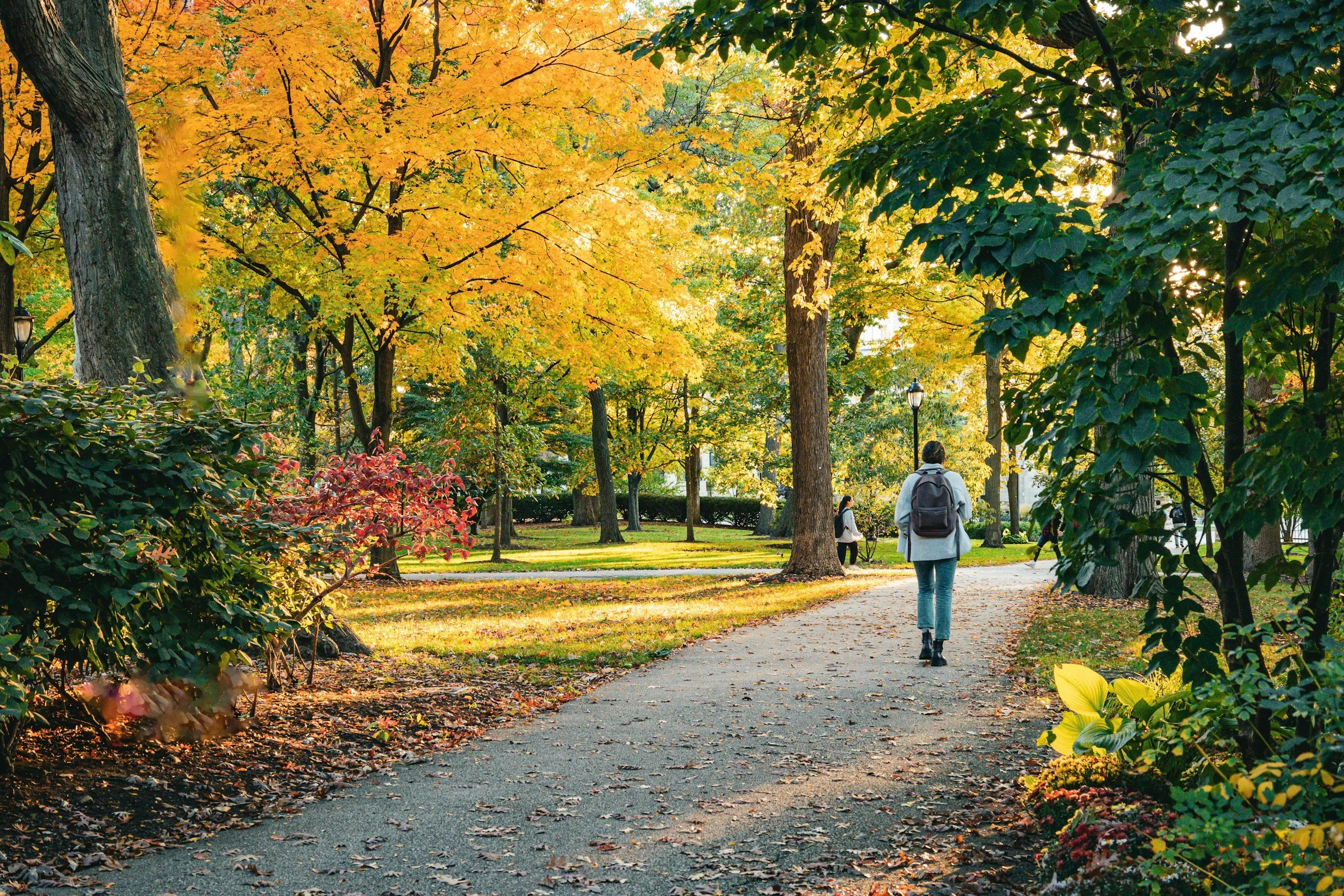 Duke Graduate and Professional Students - Navigate the unique pressures of graduate and professional training, including anxiety, burnout, perfectionism, imposter syndrome, and more.