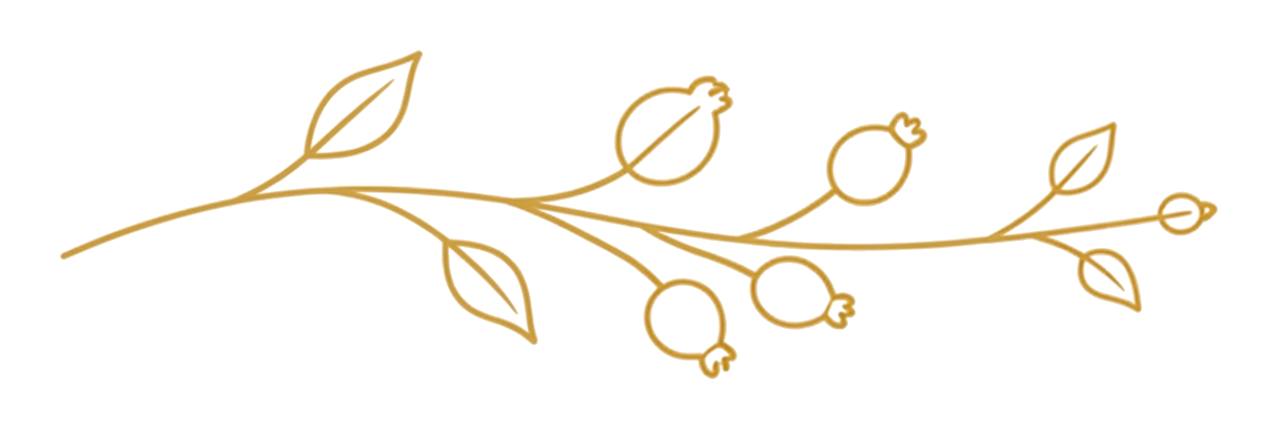 Line drawing of a branch with leaves and berries, outlined in gold against a white background.