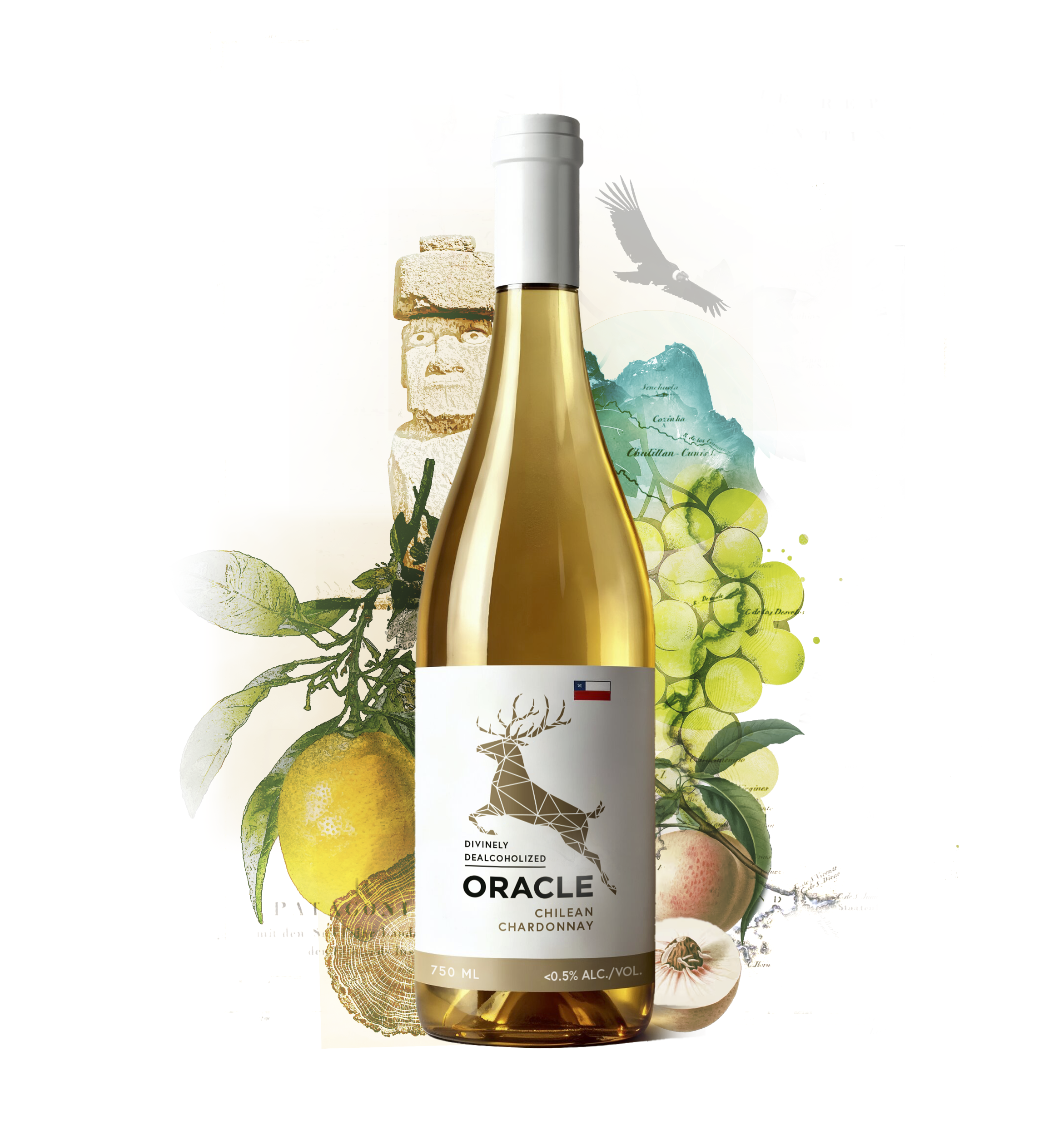 Oracle presenter.png