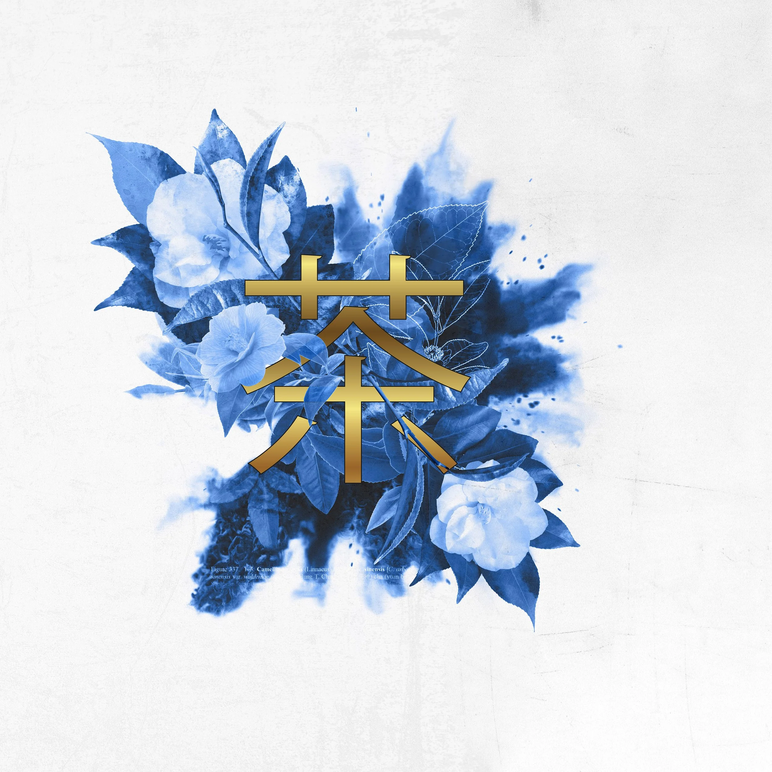 Blue watercolor flowers and leaves with gold Asian characters overlayed.