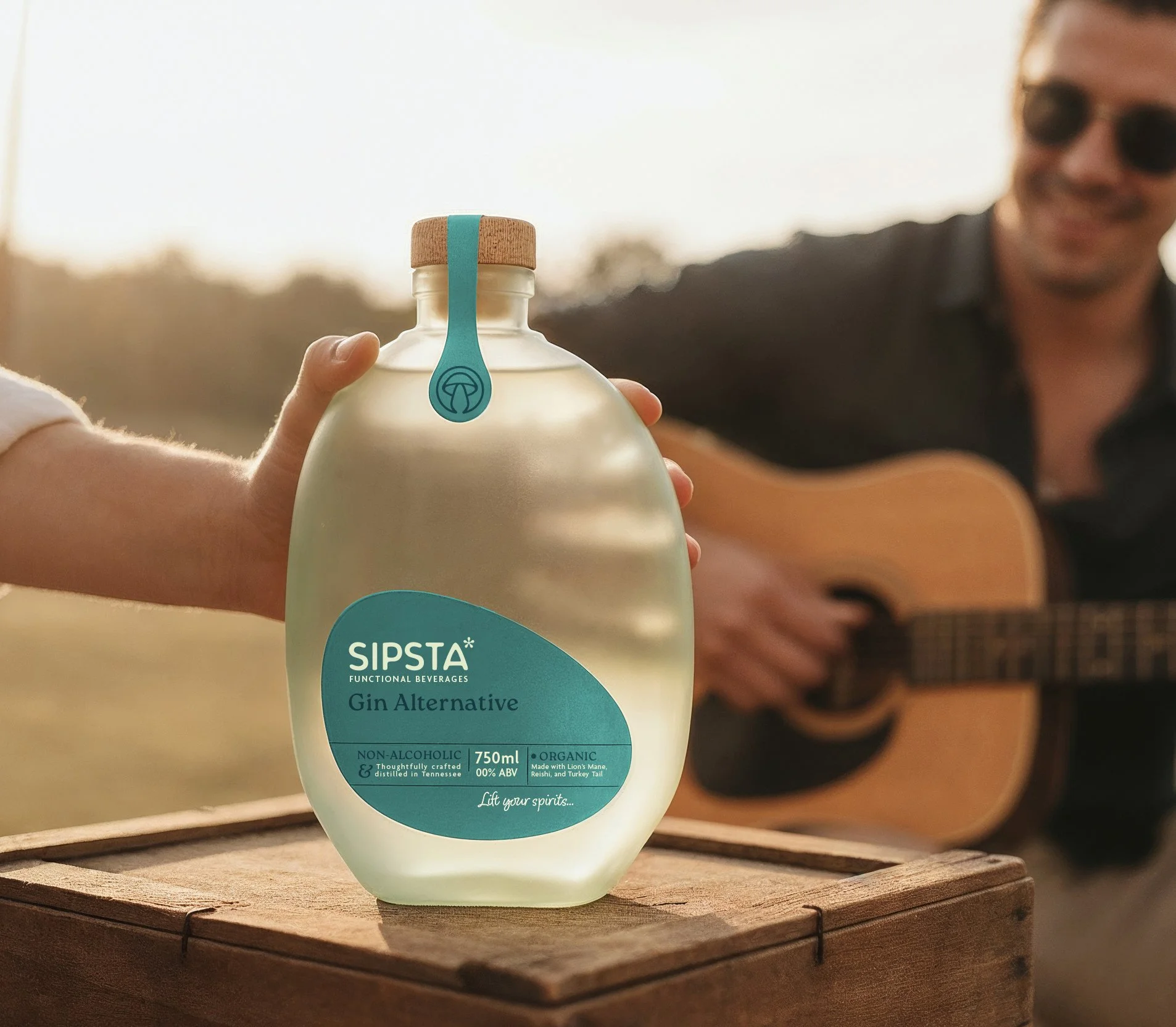 SIPSTA ALT Guitar copy.jpg