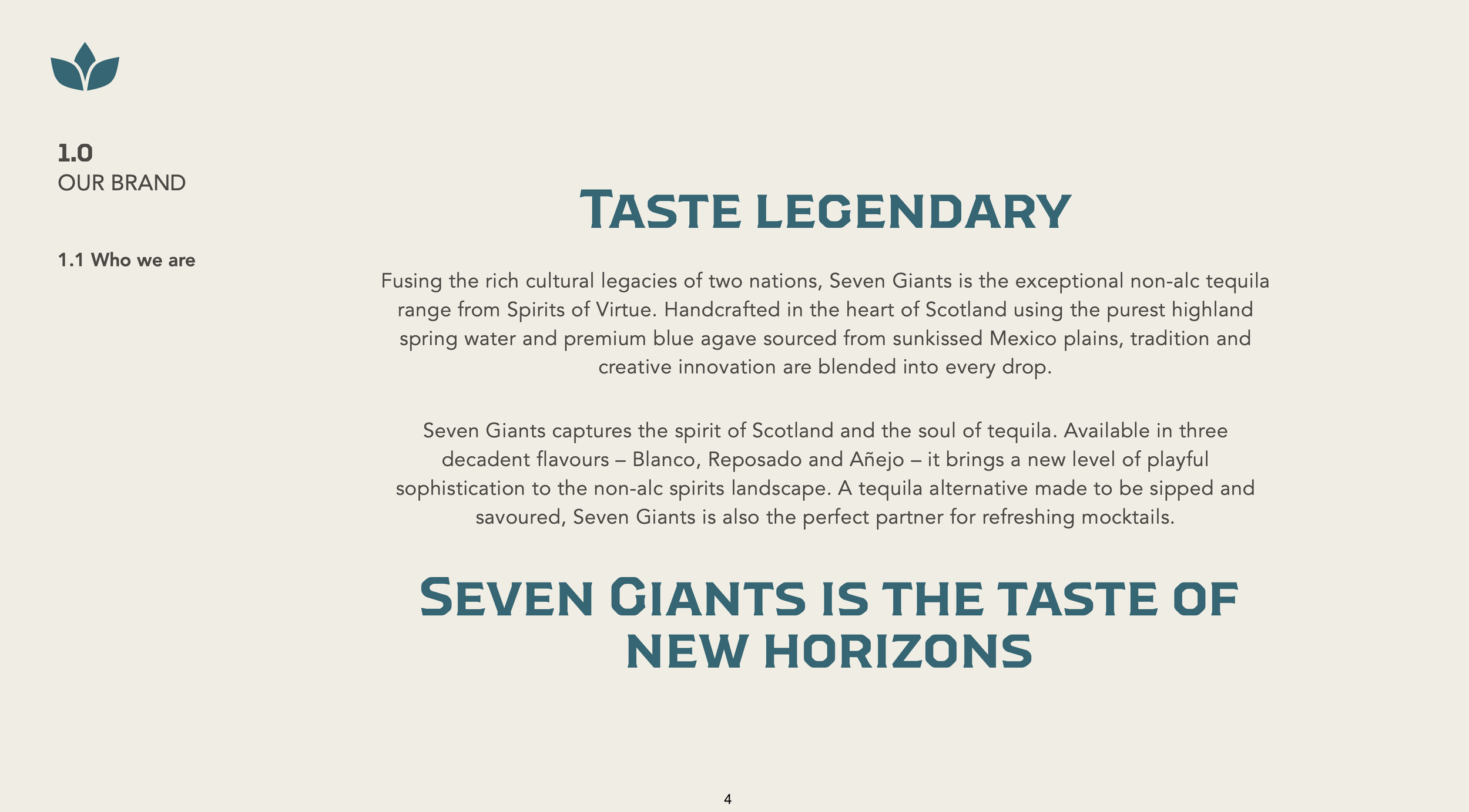 7G brand page4.png
