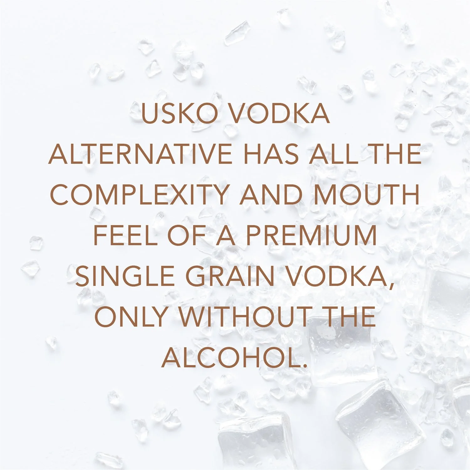 USKO panel 1.jpg