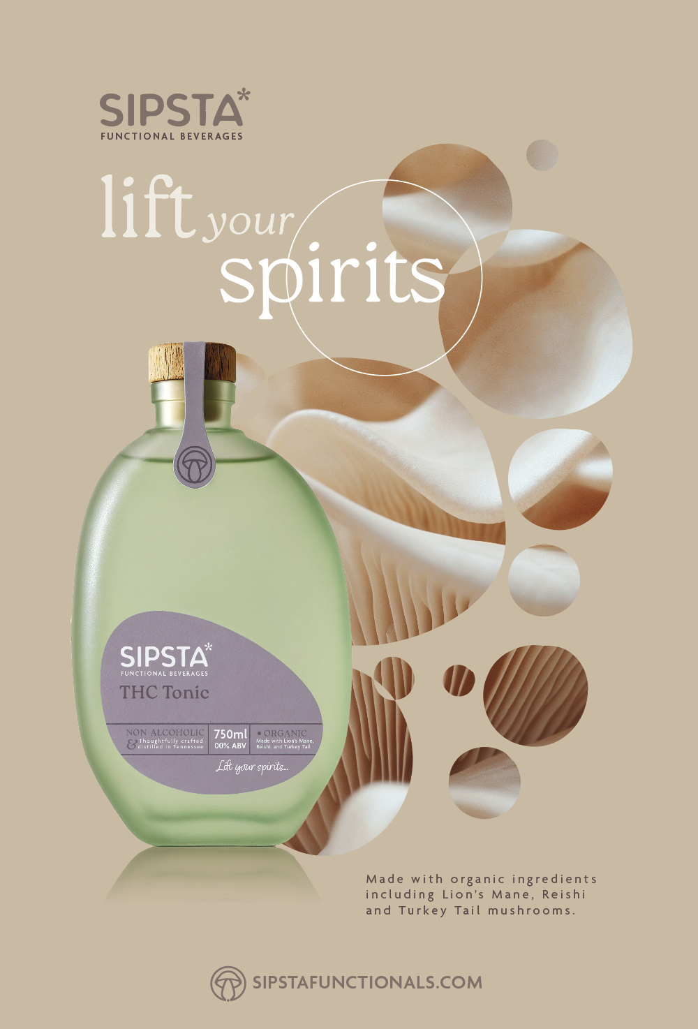 SIPSTA_mag.png