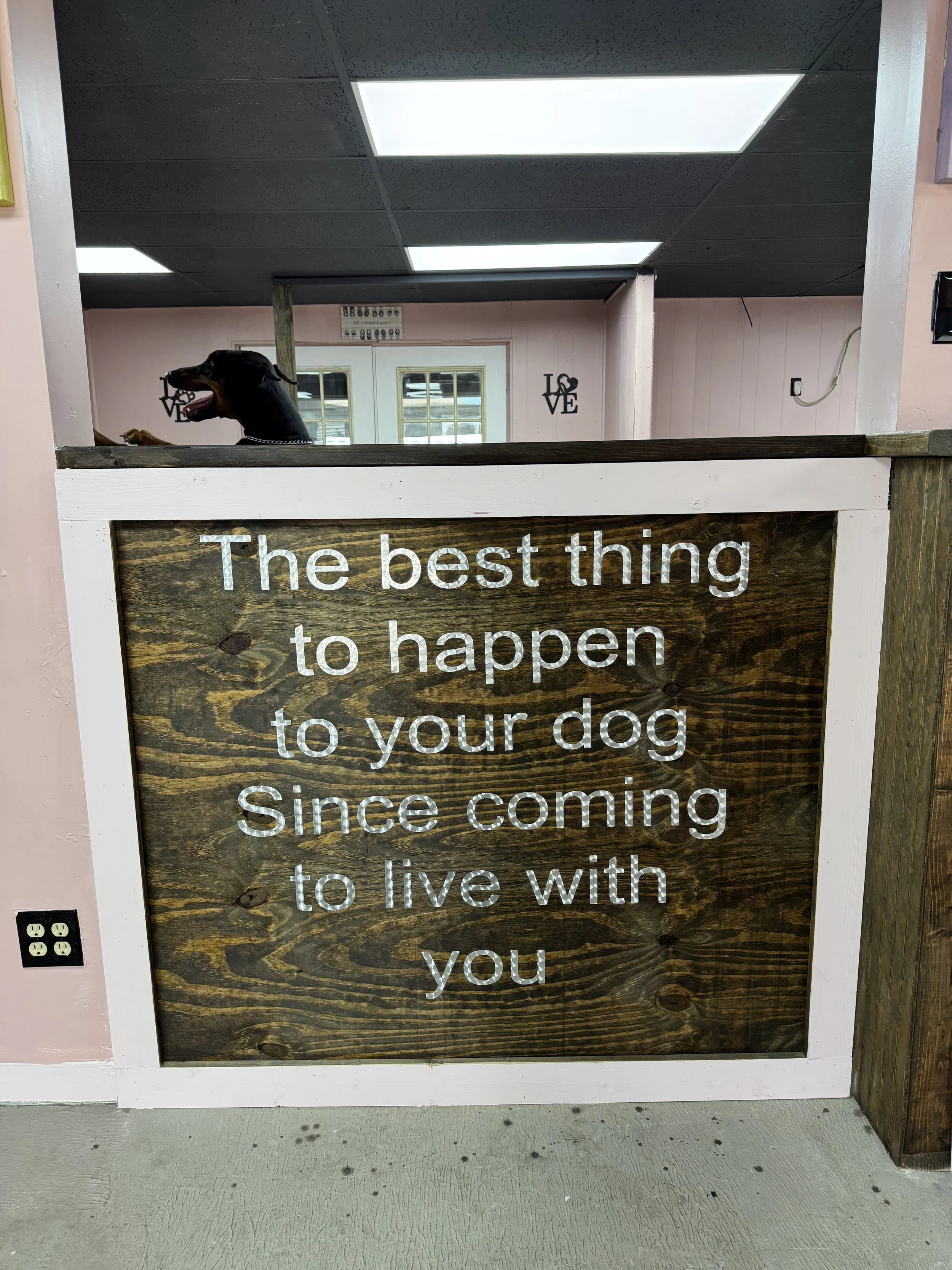 A sign with wooden background and white text that reads, 'The best thing to happen to your dog since coming to live with you.' The sign is behind a partial wall or frame with a pink wall to the left and a wood post on the right. A dog is looking over