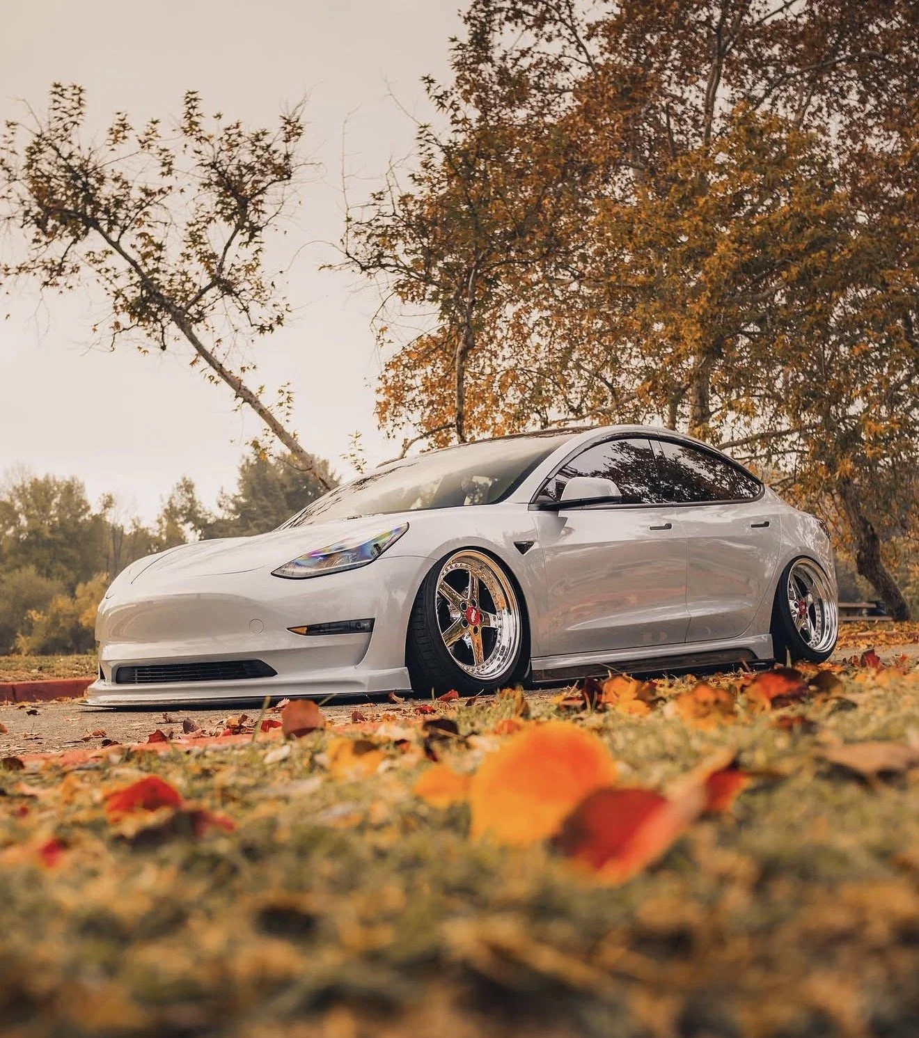 A white sports car with custom wheels parked on a street over fallen autumn leaves, with trees with orange and brown foliage in the background.